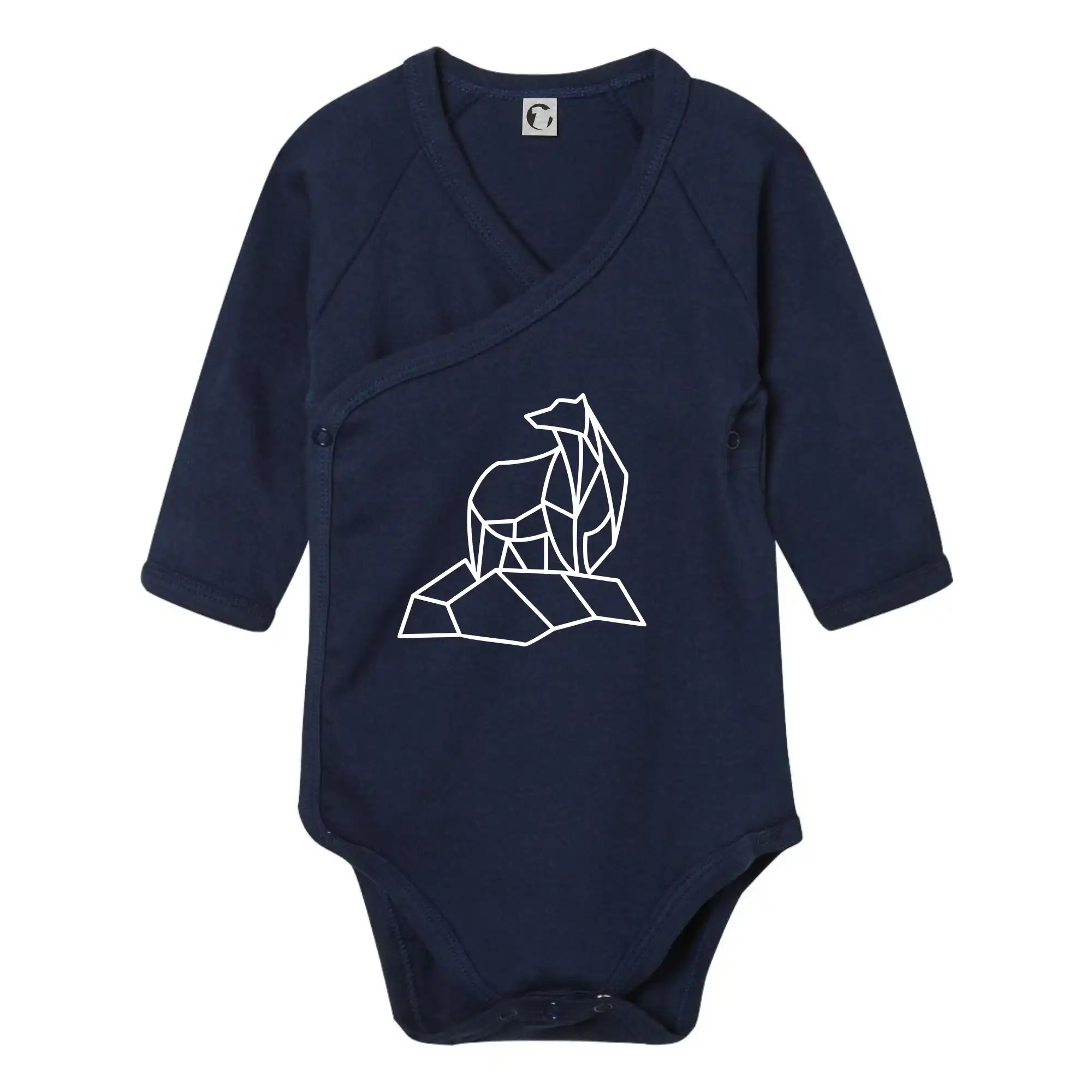 Geometrie lední medvěd na ledu