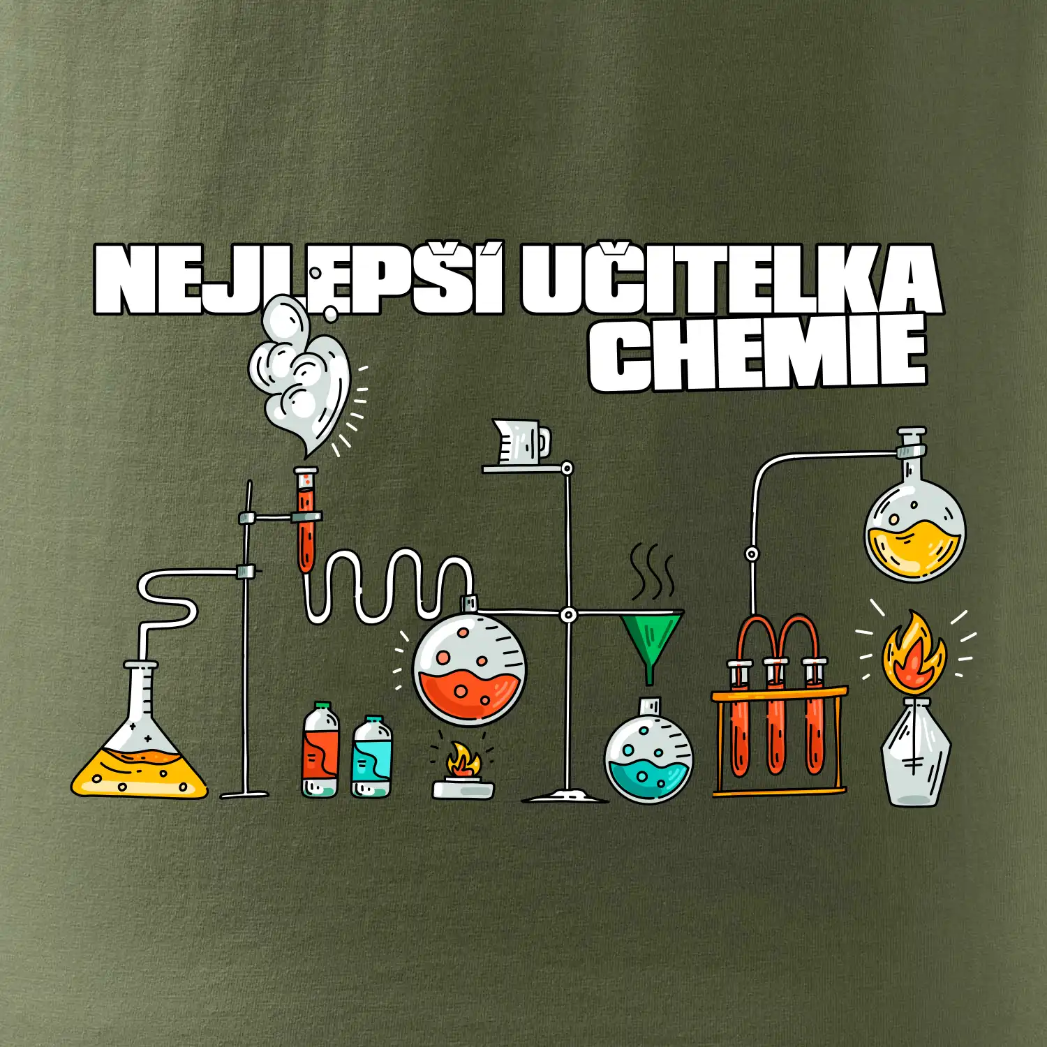 Nejlepší učitelka chemie