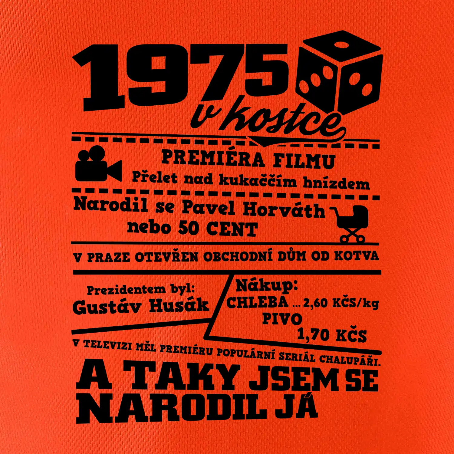 1975 v kostce
