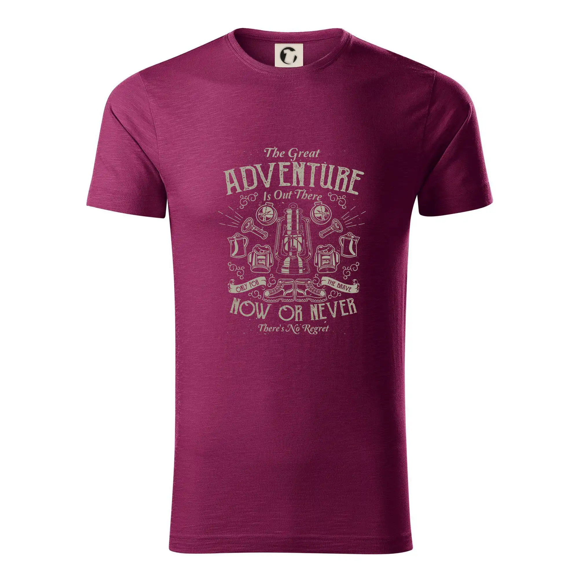 The Great Adventure now or never