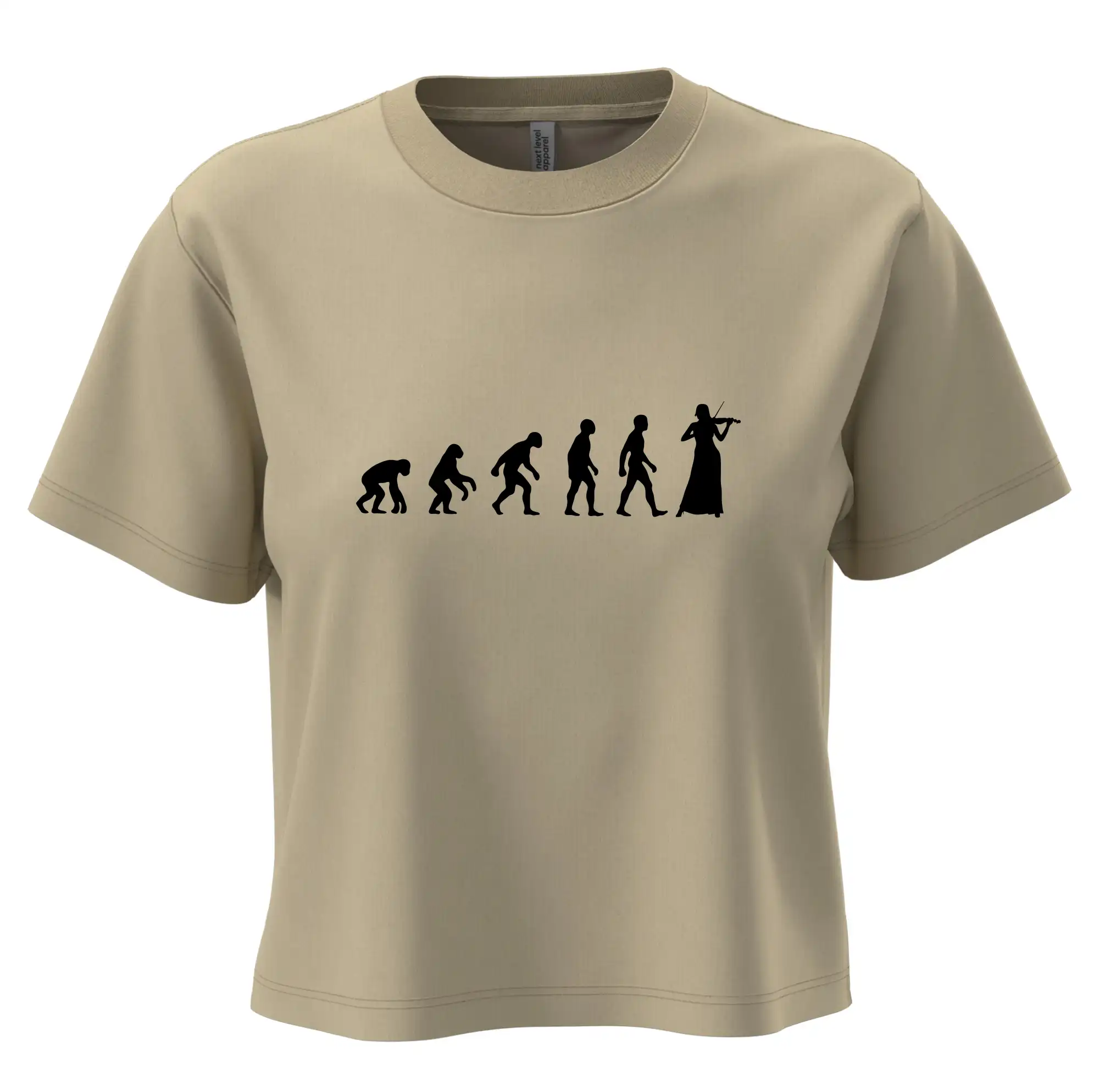 Evoluce houslistka