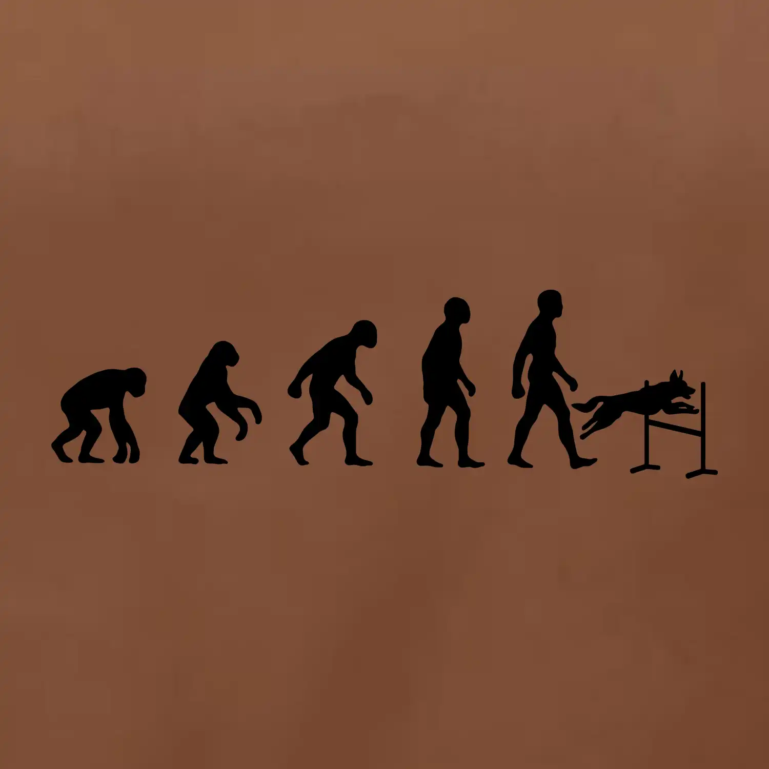 Evoluce agility muž