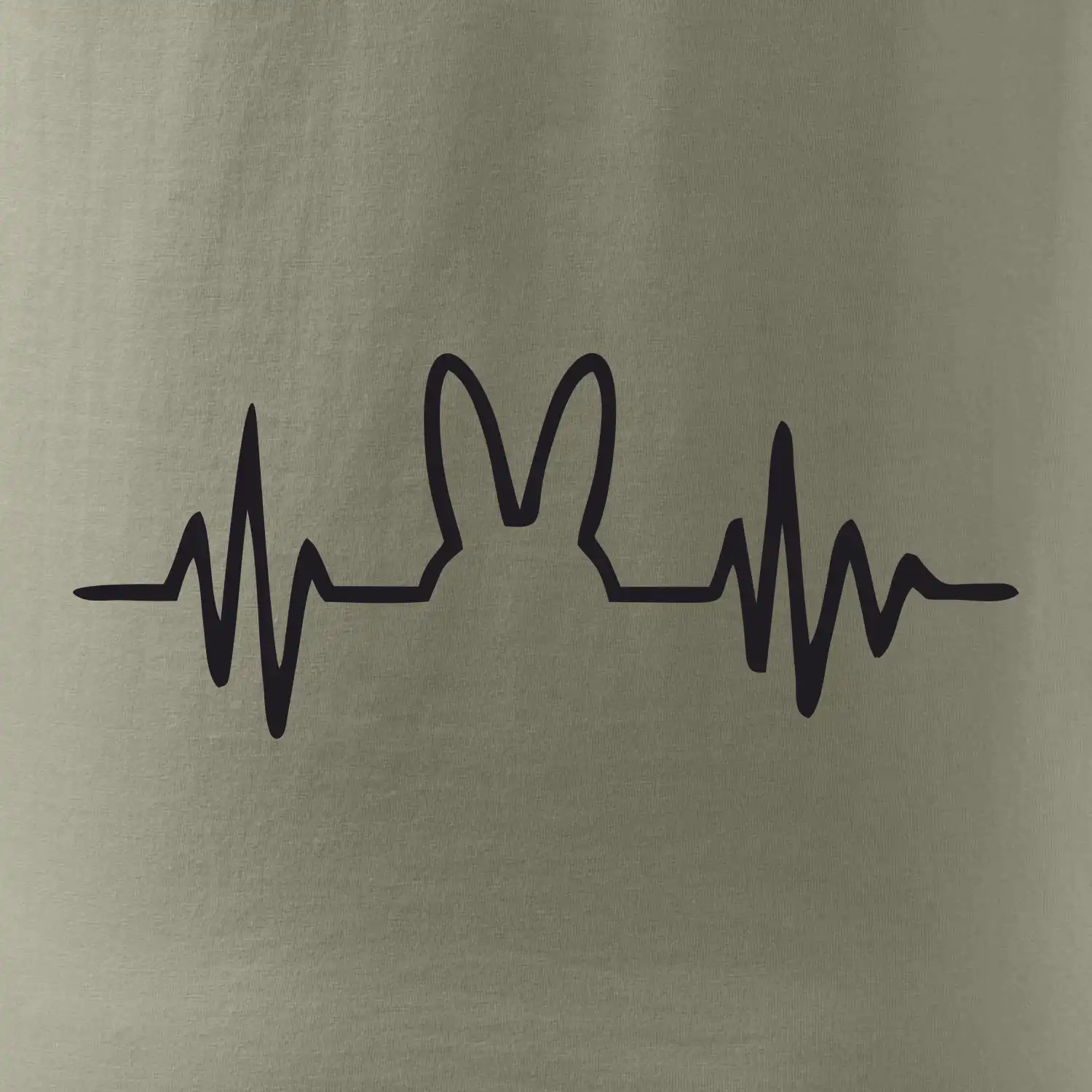 EKG zajíc