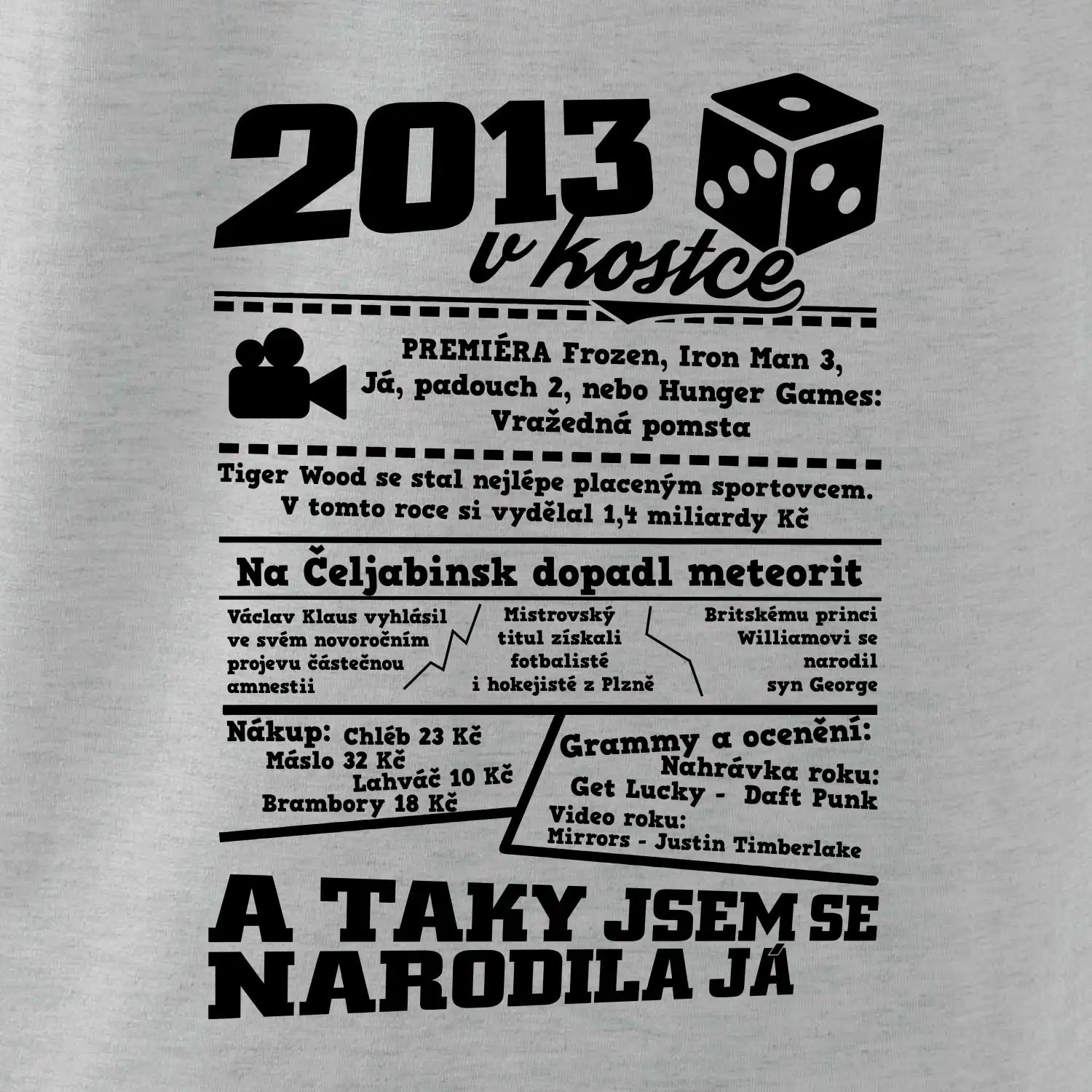 2013 v kostce
