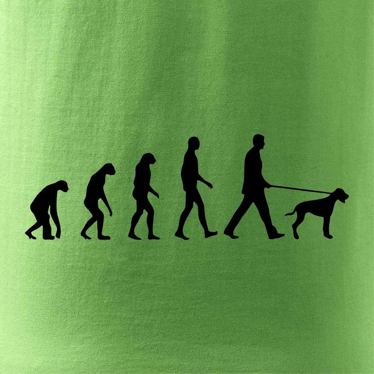 Evoluce pes ohař
