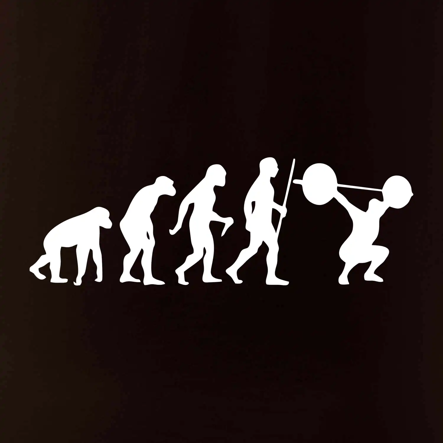 Evolution fitness