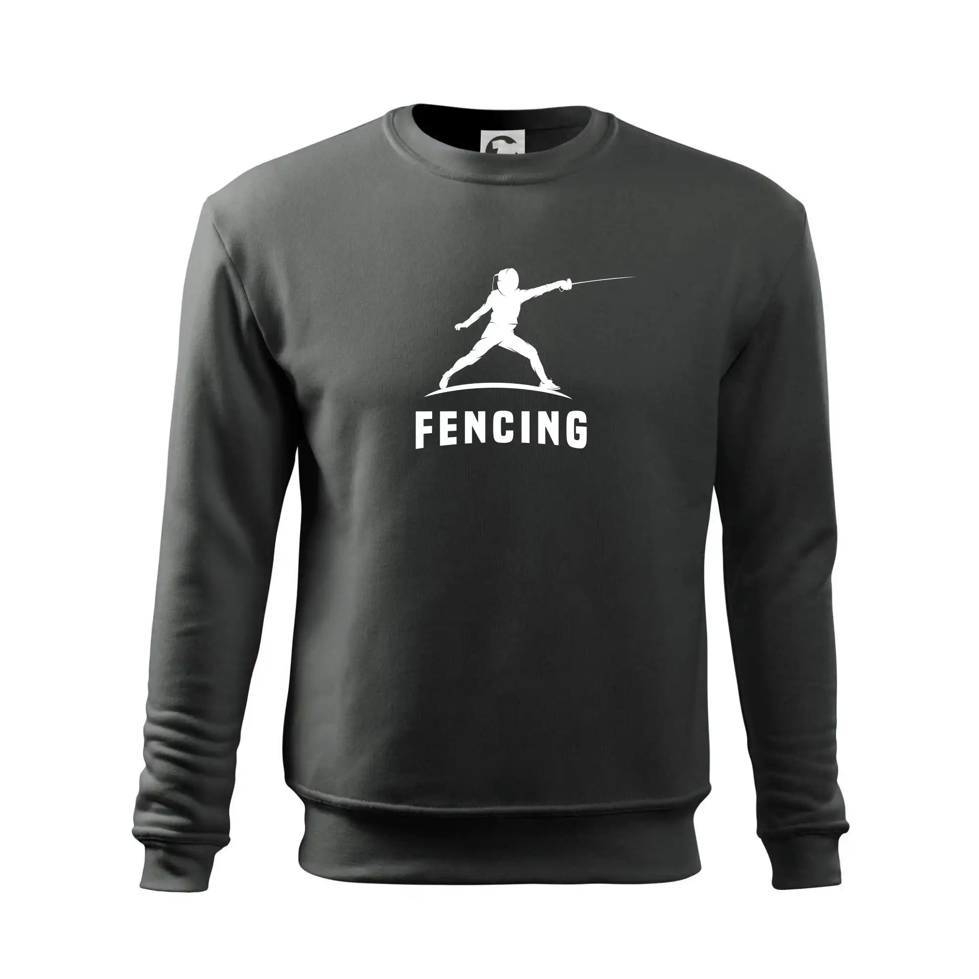 Fencing (šerm) - postava