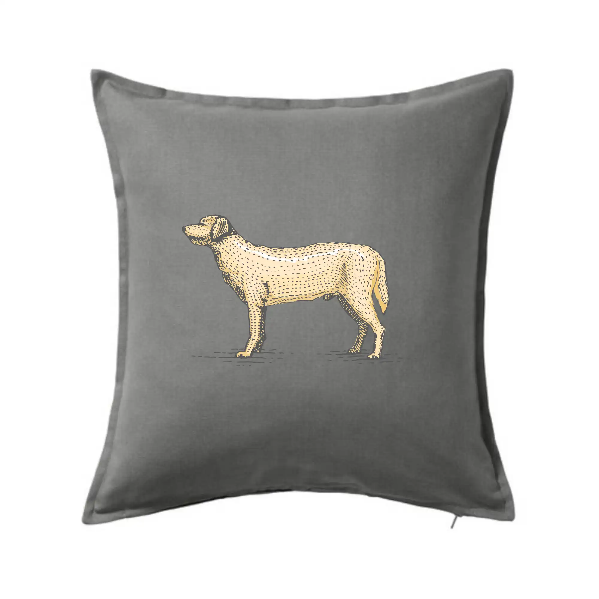 Vintage Labrador