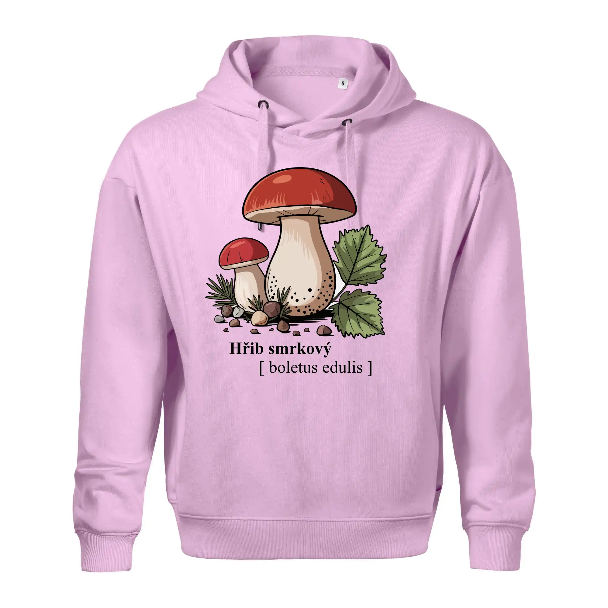 Hřib smrkový - Boletus edulis kreslený