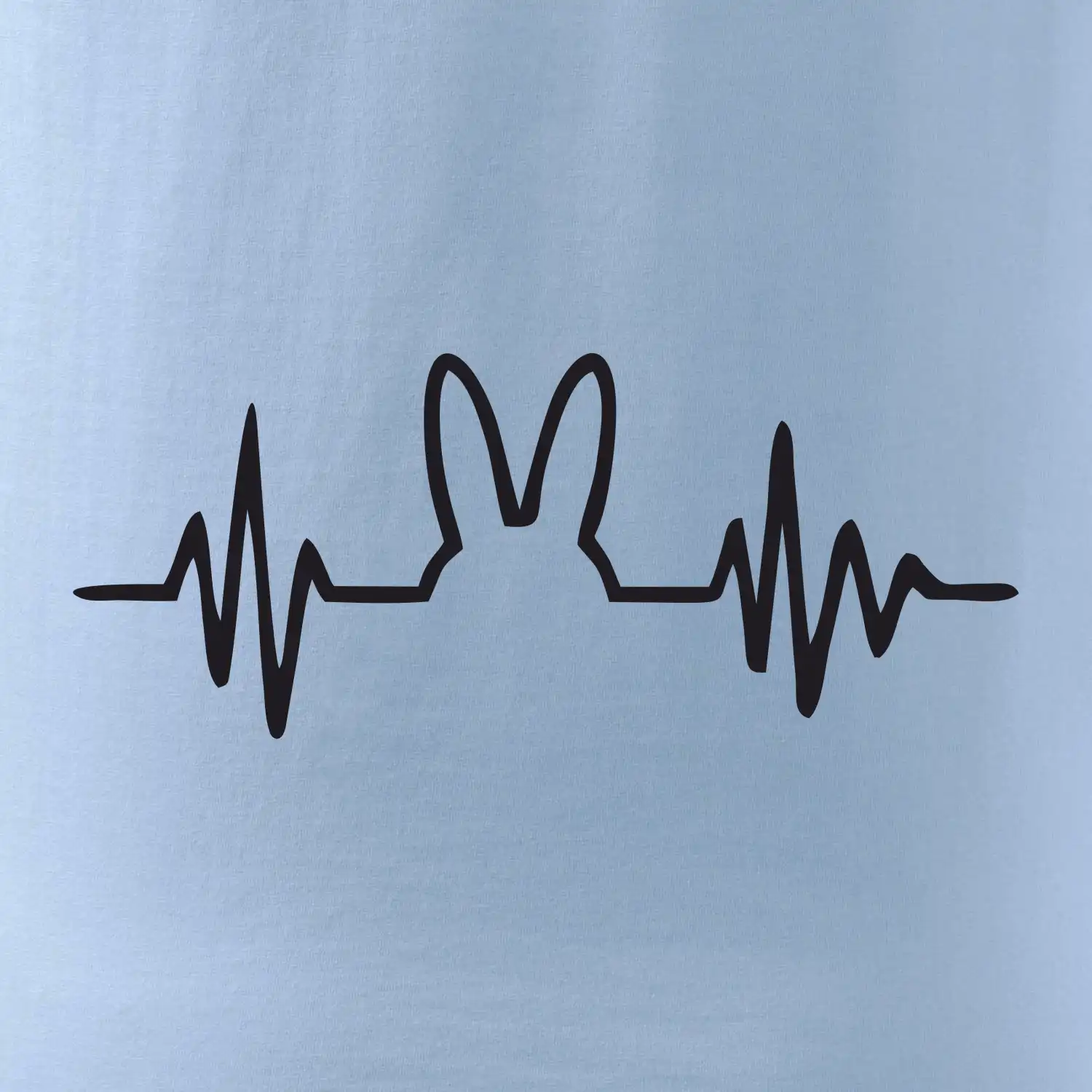 EKG zajíc