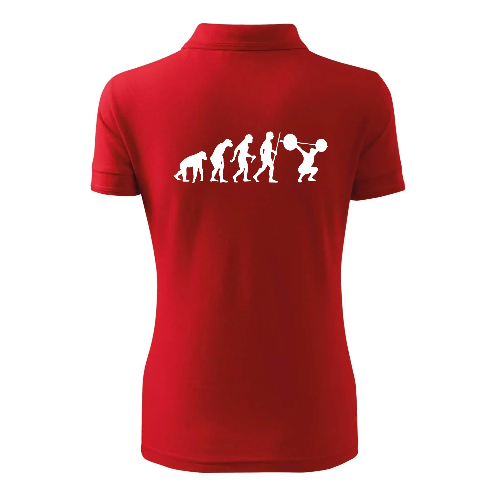 Evolution fitness