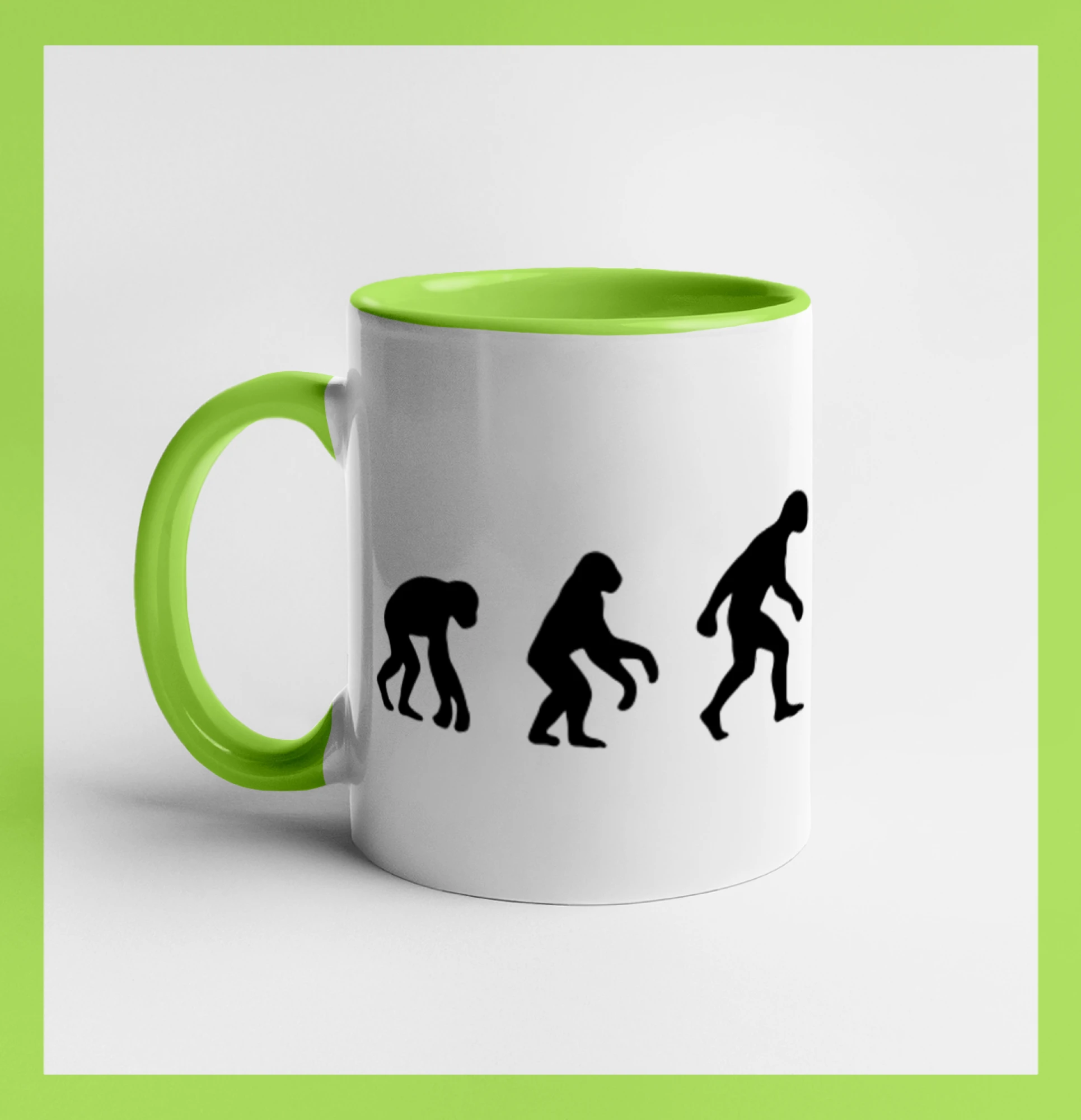 Evoluce šipky