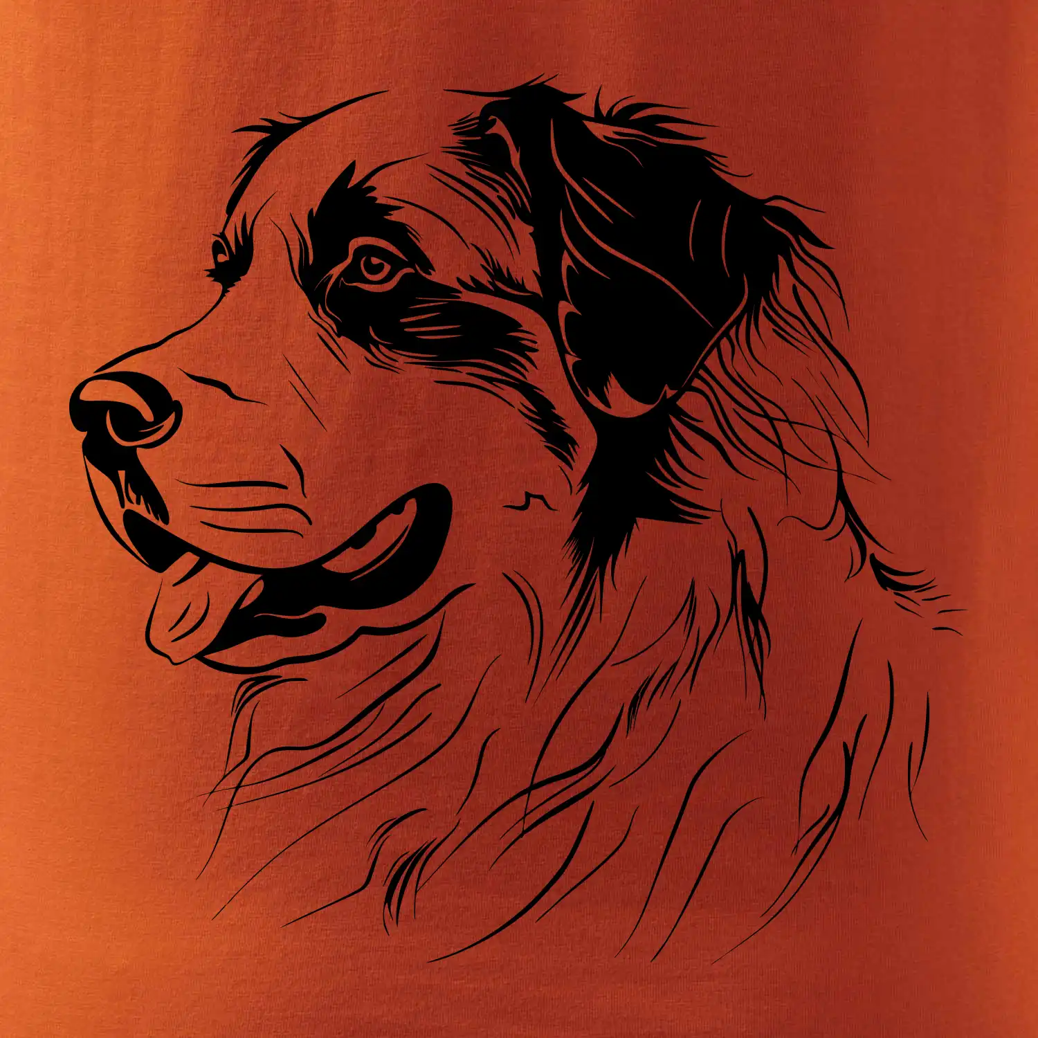 Bernský salašnický pes černá kresba