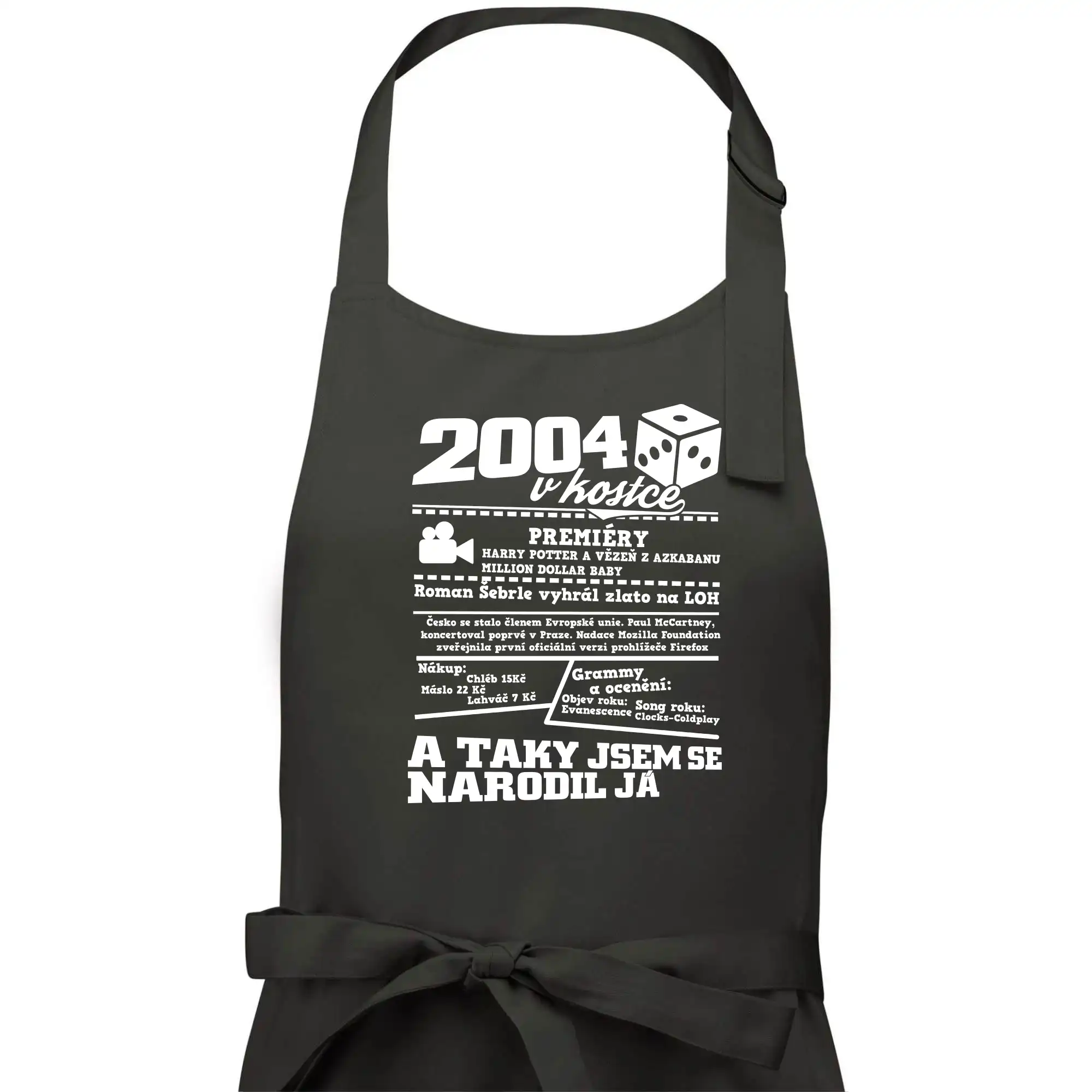 2004 v kostce