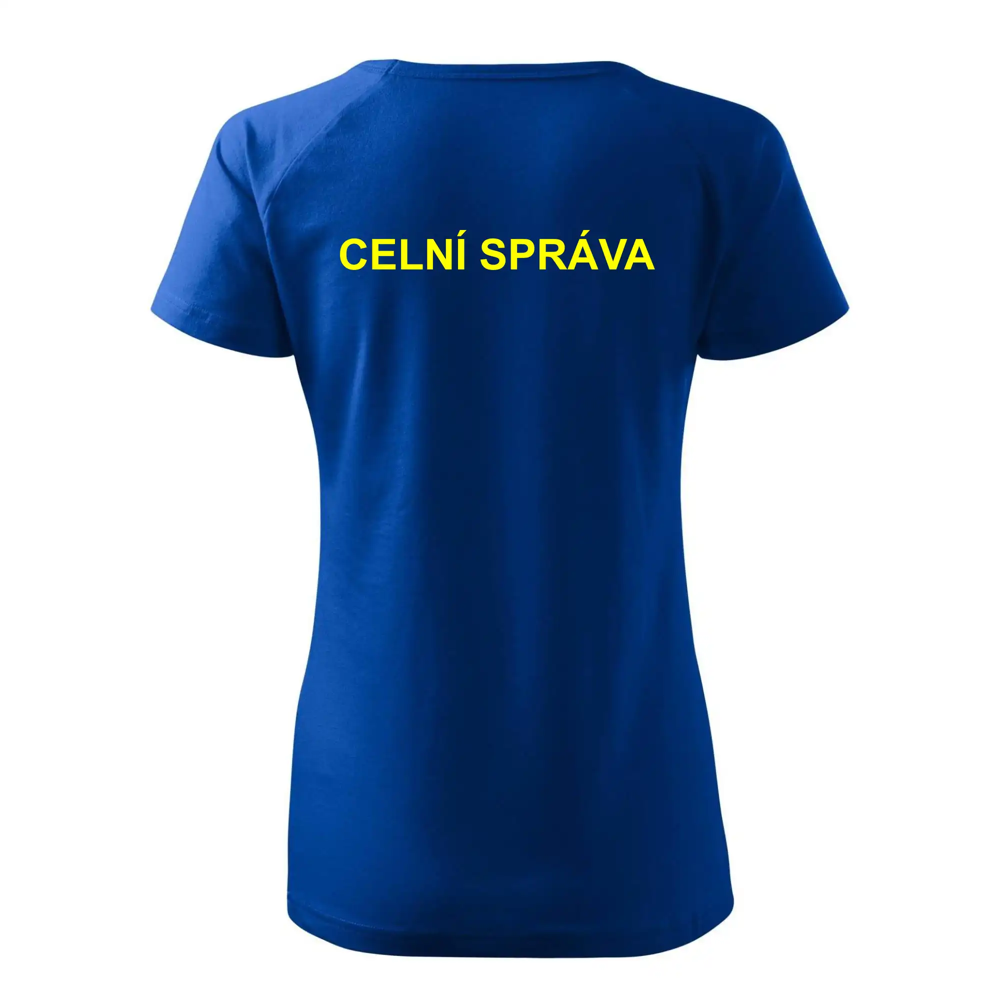 Celní správa