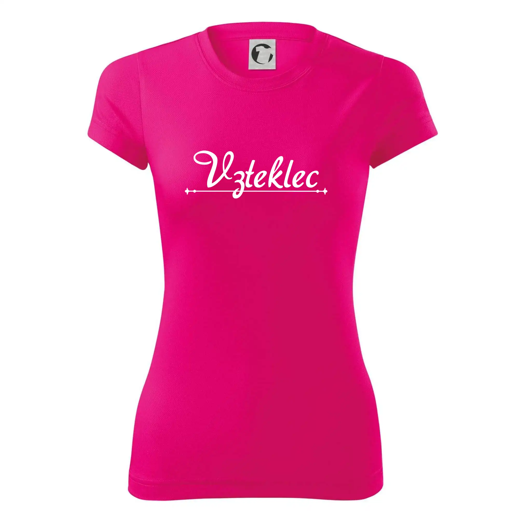 Staročeština - Vzteklec - zuřivec, šílenec, blázen