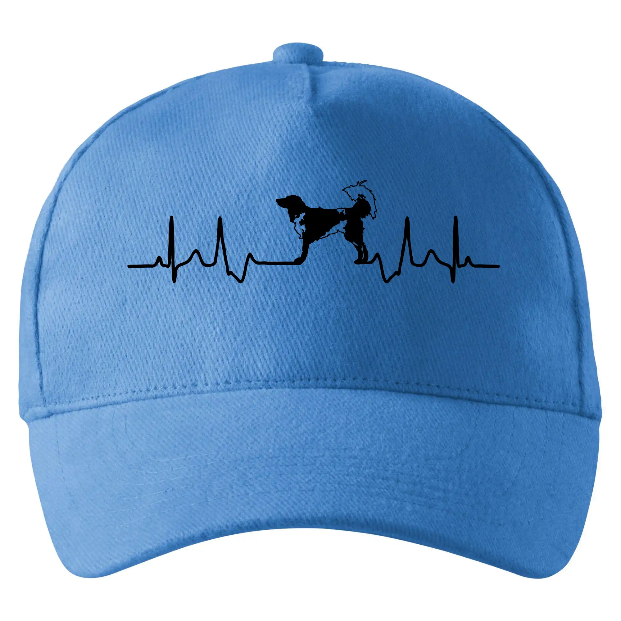 Český strakatý pes EKG