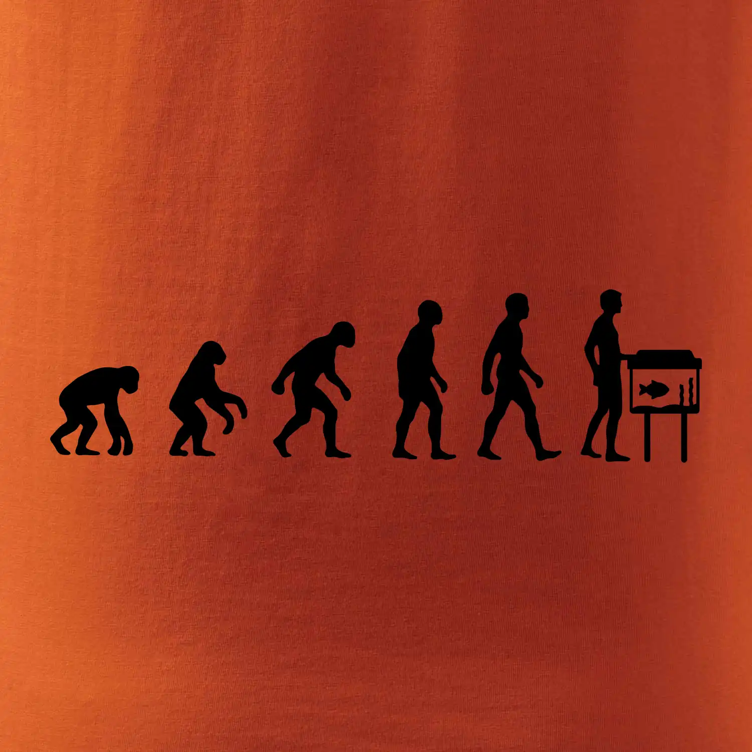 Evoluce akvaristika