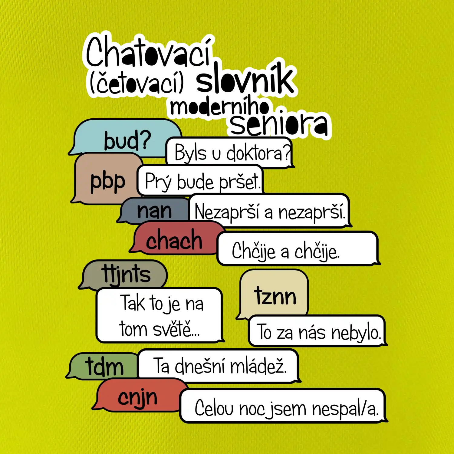 Chatovací slovník moderního seniora (Běžící češtinář)