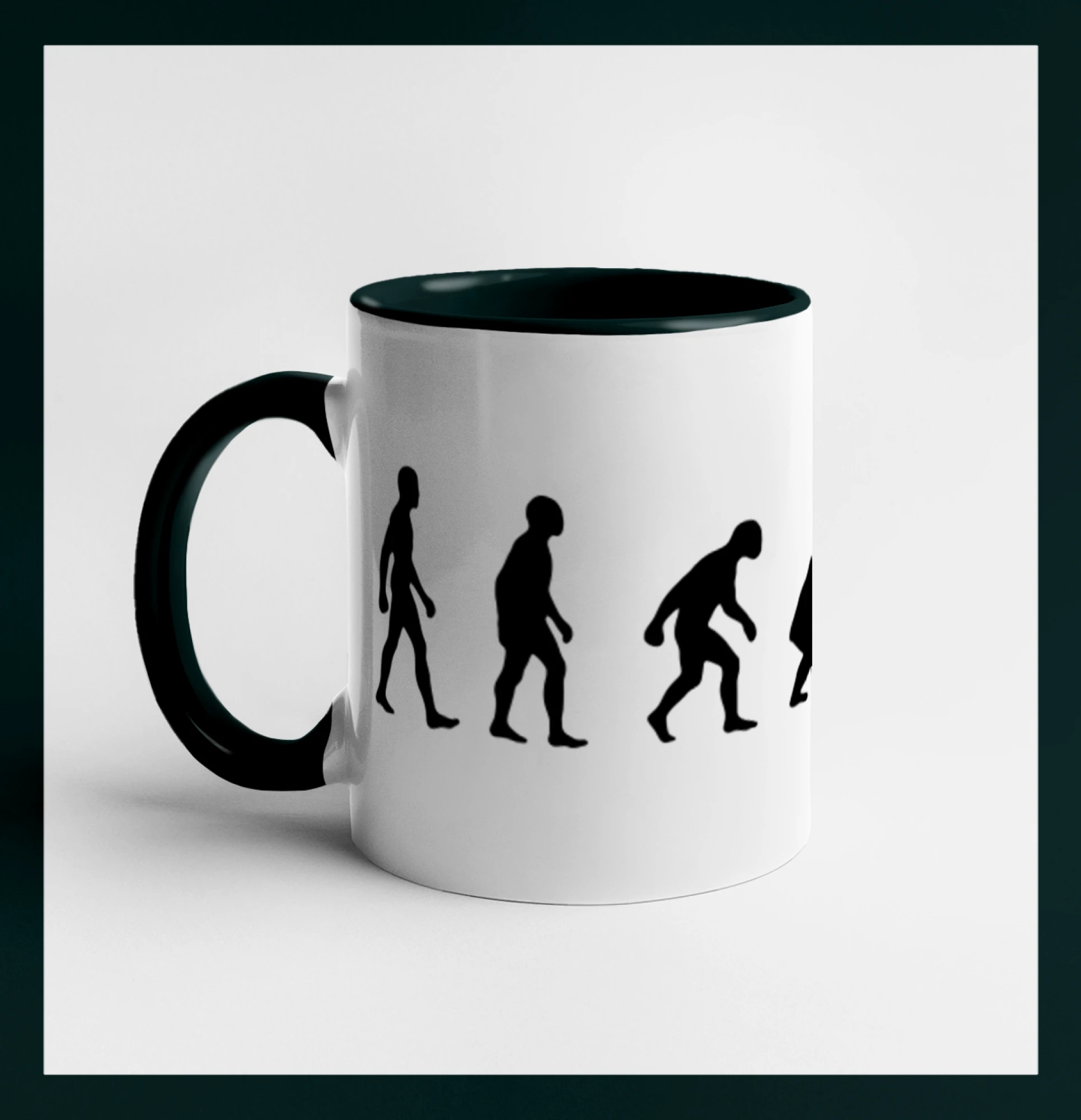 Evoluce ovce