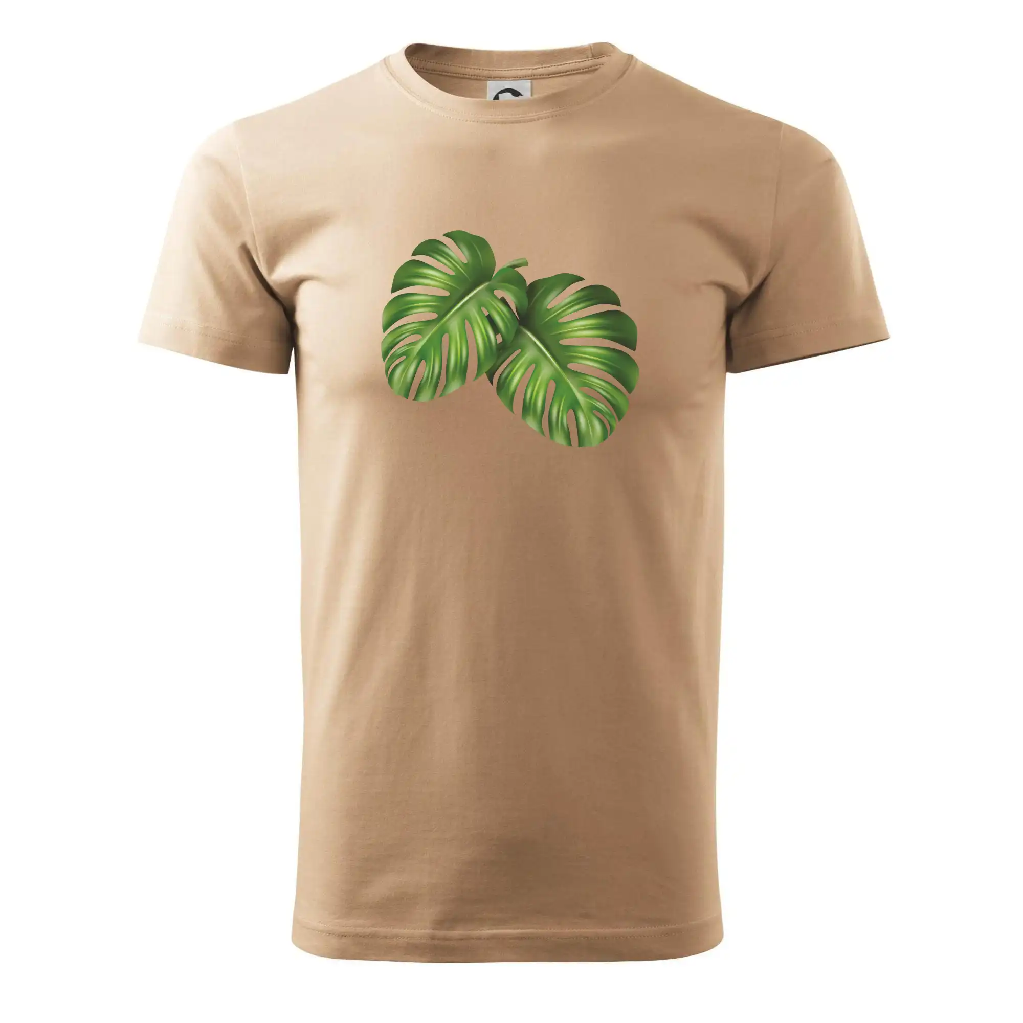 Monstera - dva listy