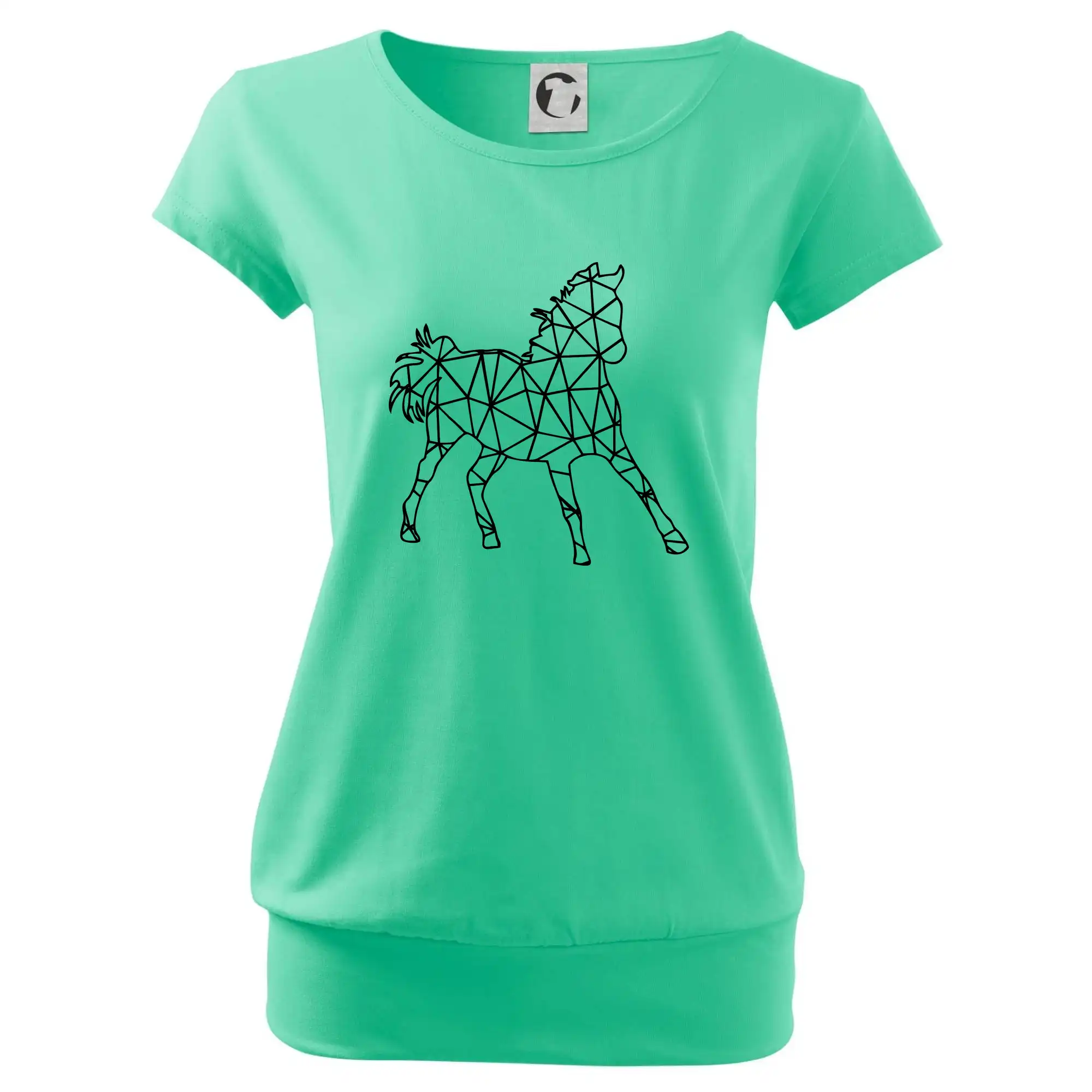 Geometrie - kůň jednobarevná