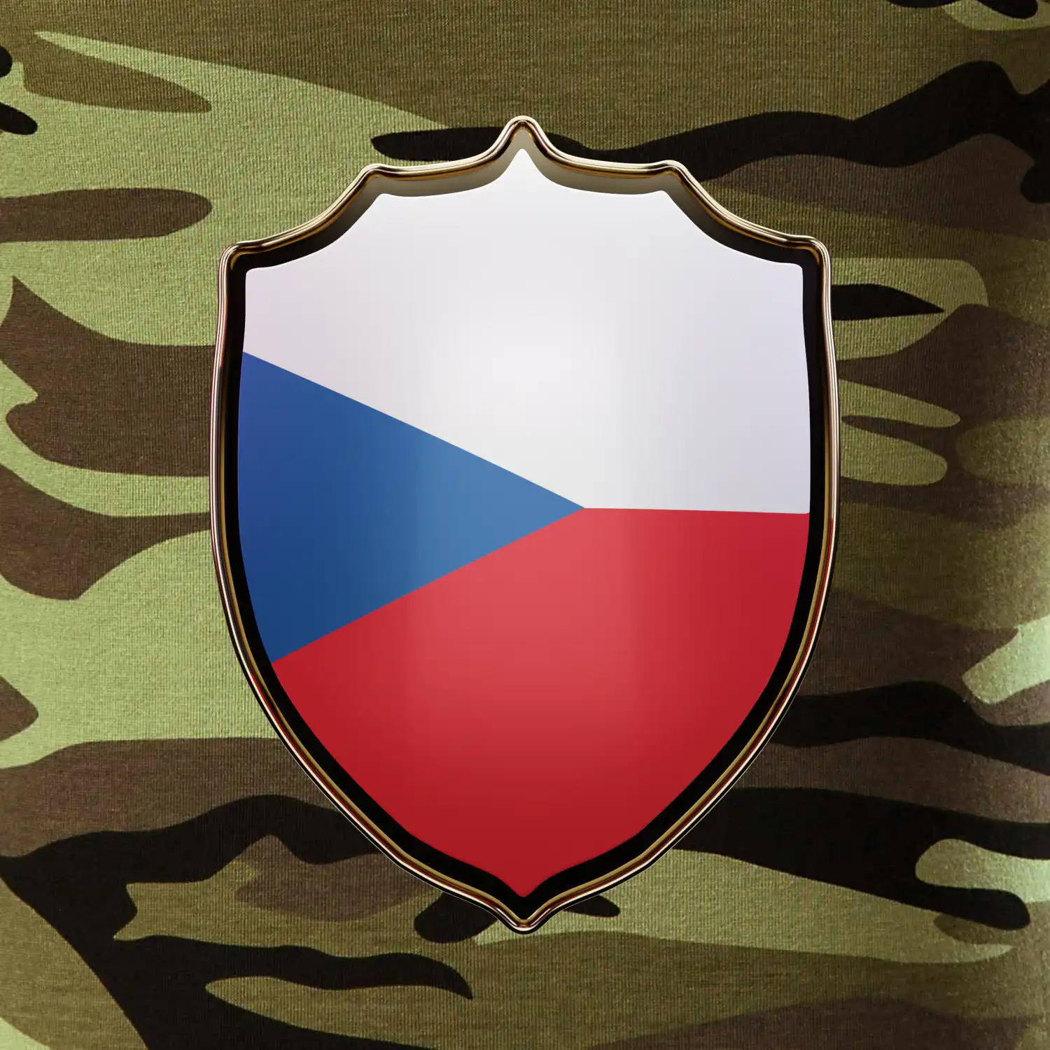 Česká vlajka erb