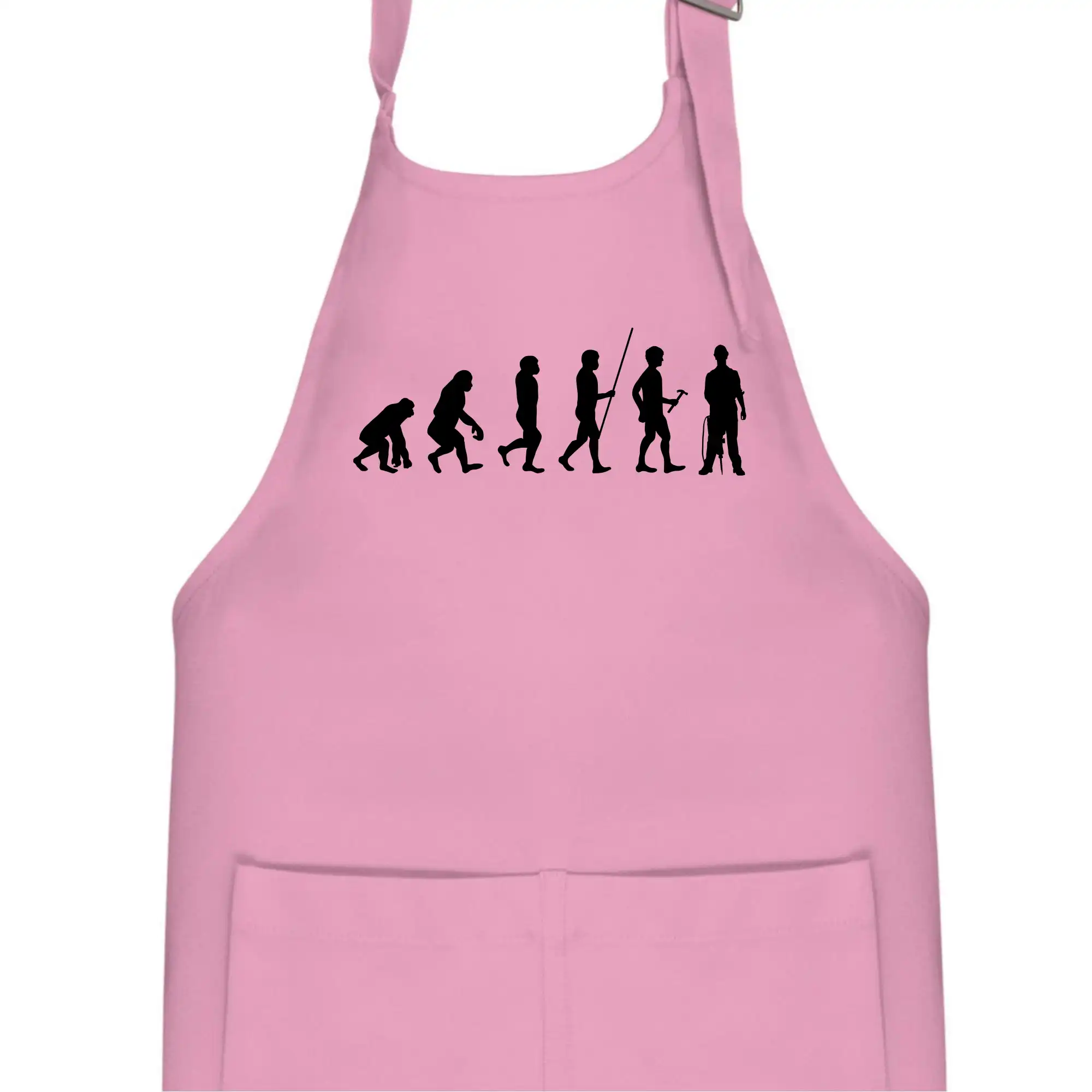 Evoluce zedník zbiječka