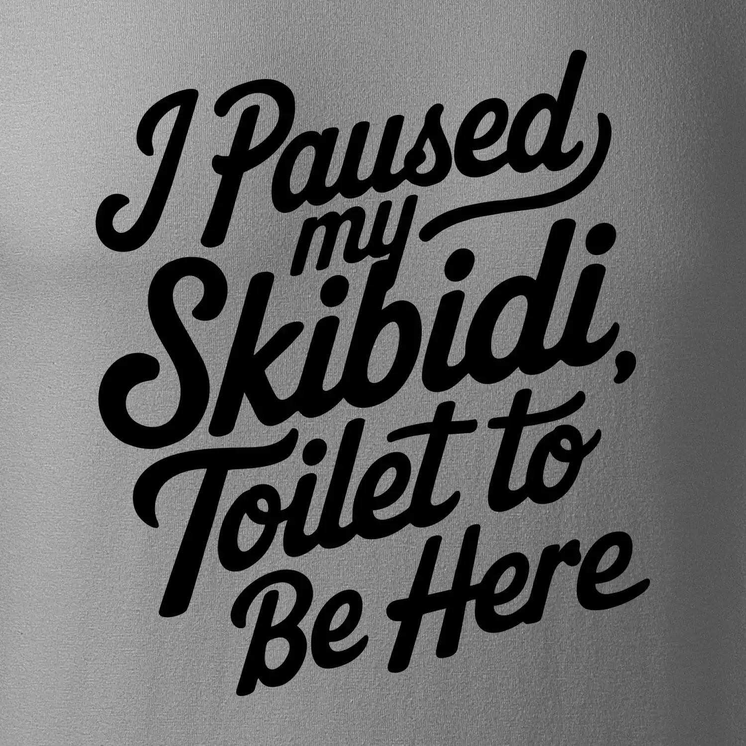 I Paused My Skibidi Toilet to be Here