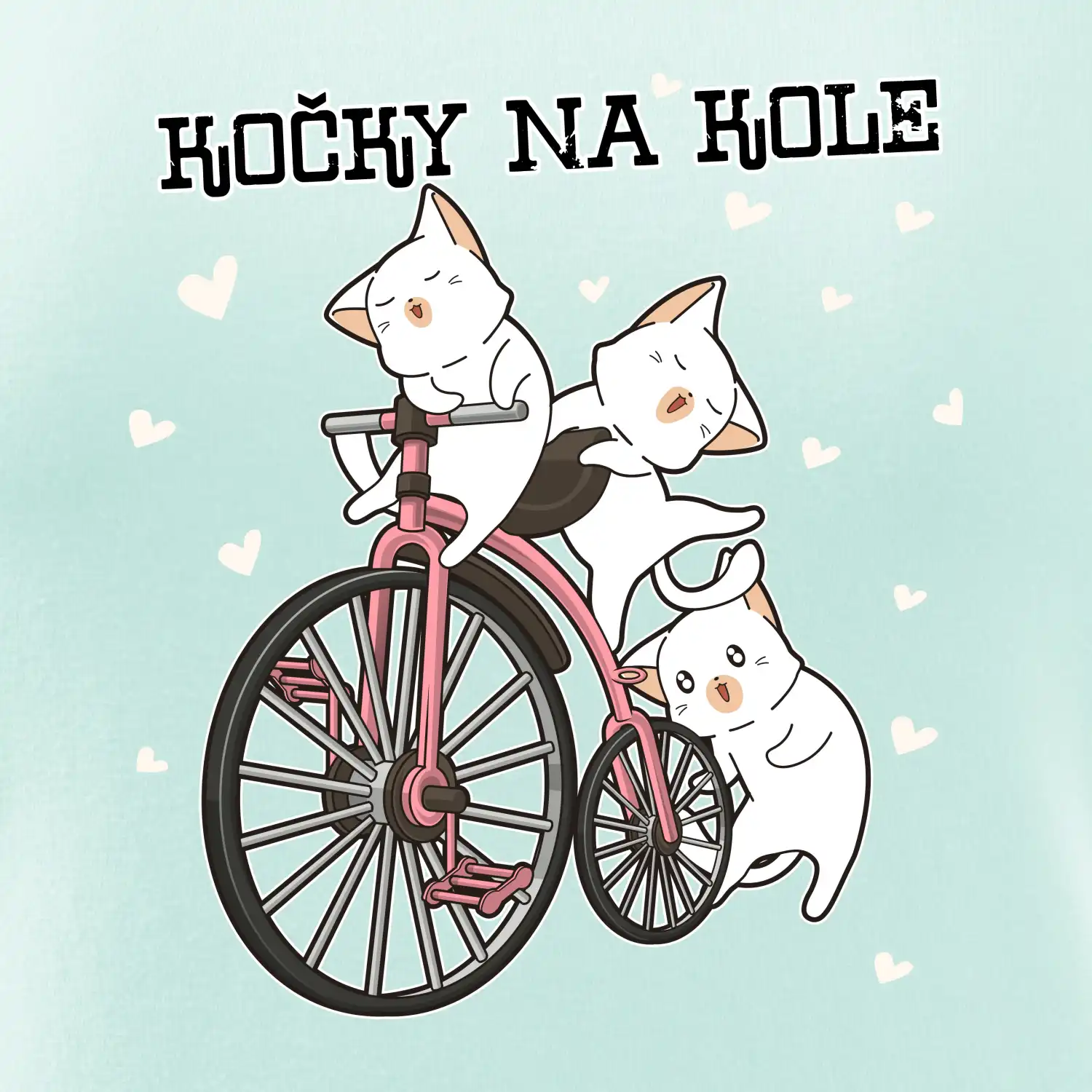 Kočky na kole