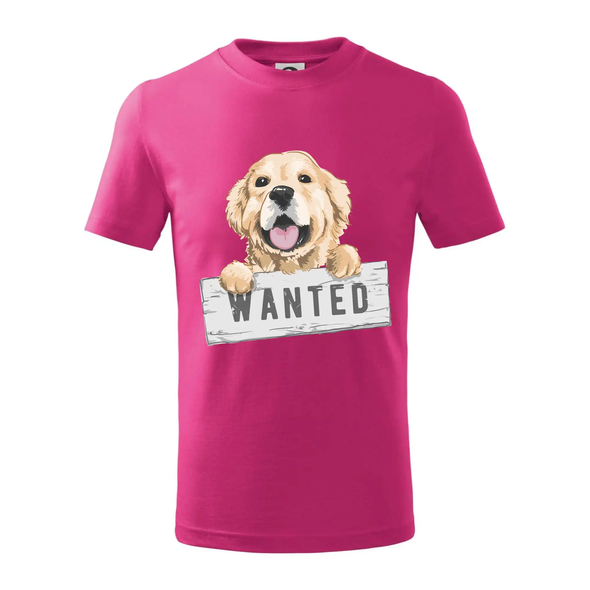 Zlatý retriever - štěně wanted