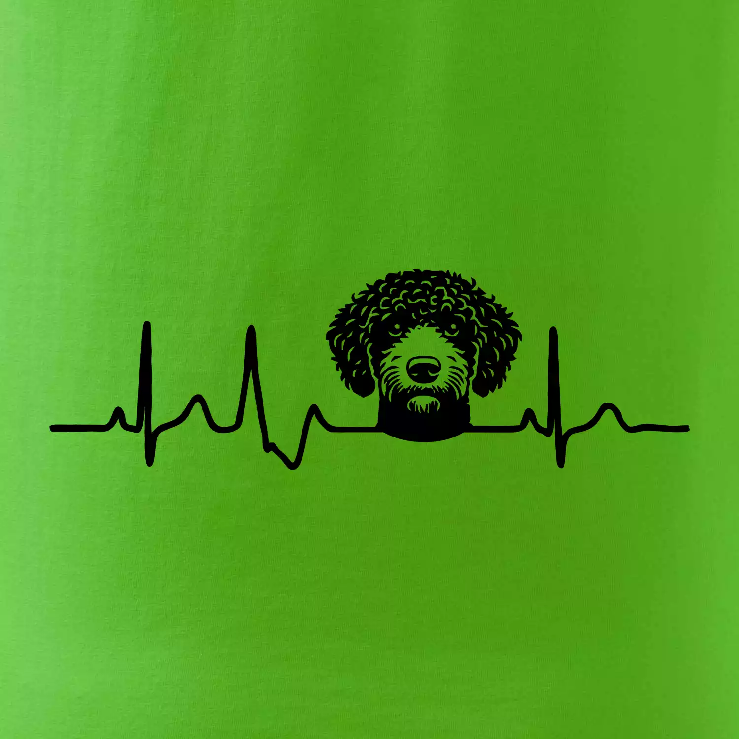 Lagotto romagnolo hlava EKG