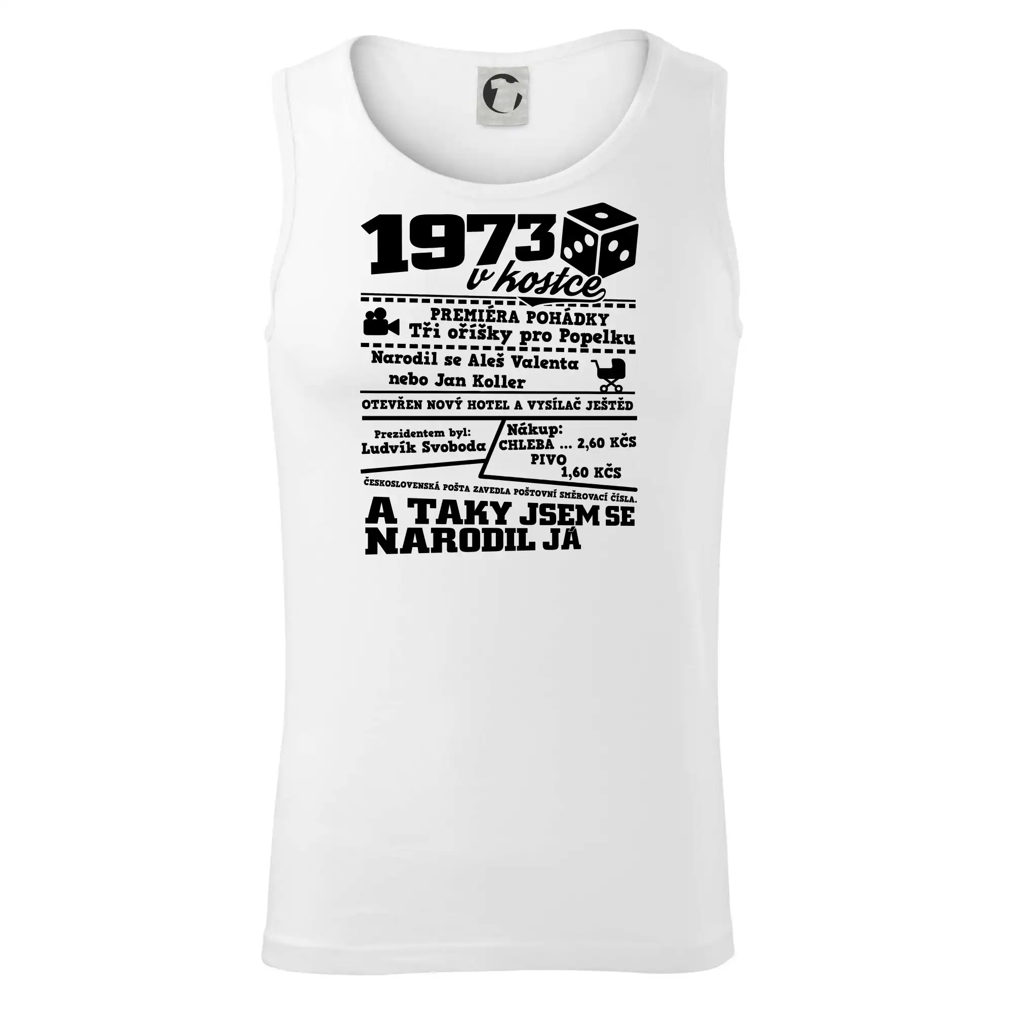 1973 v kostce
