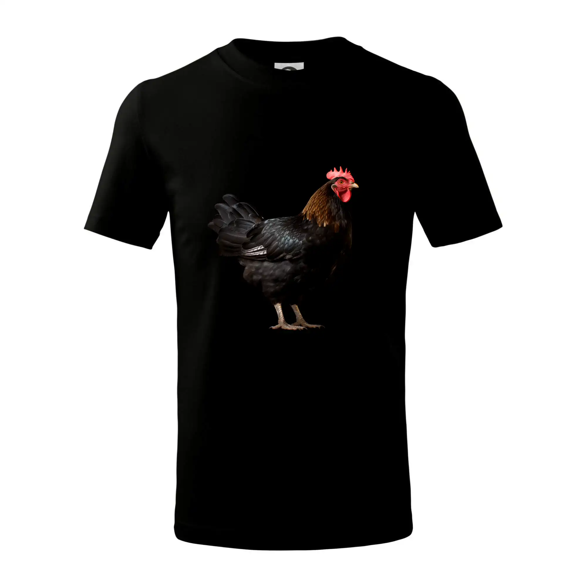 Slepice z boku černá fotka
