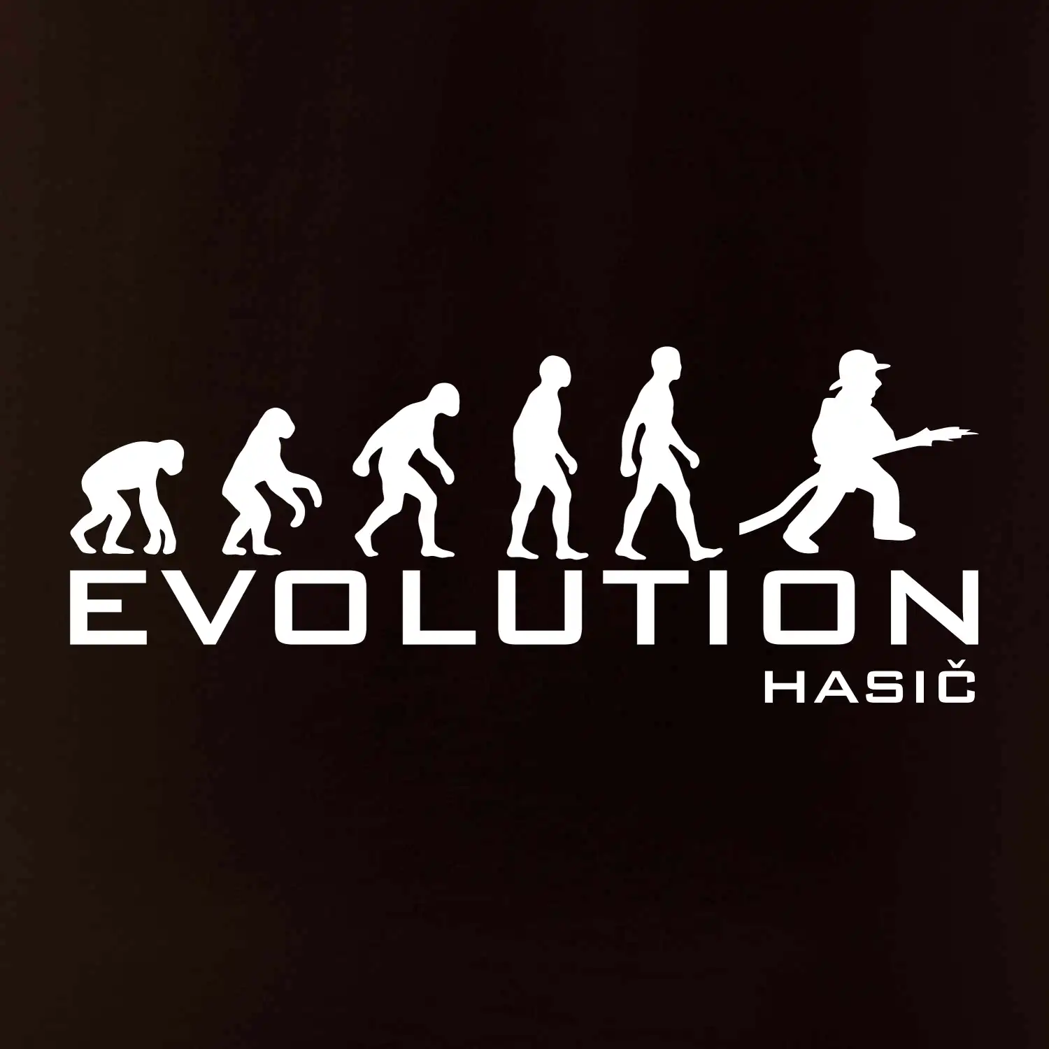 Evolution Hasič