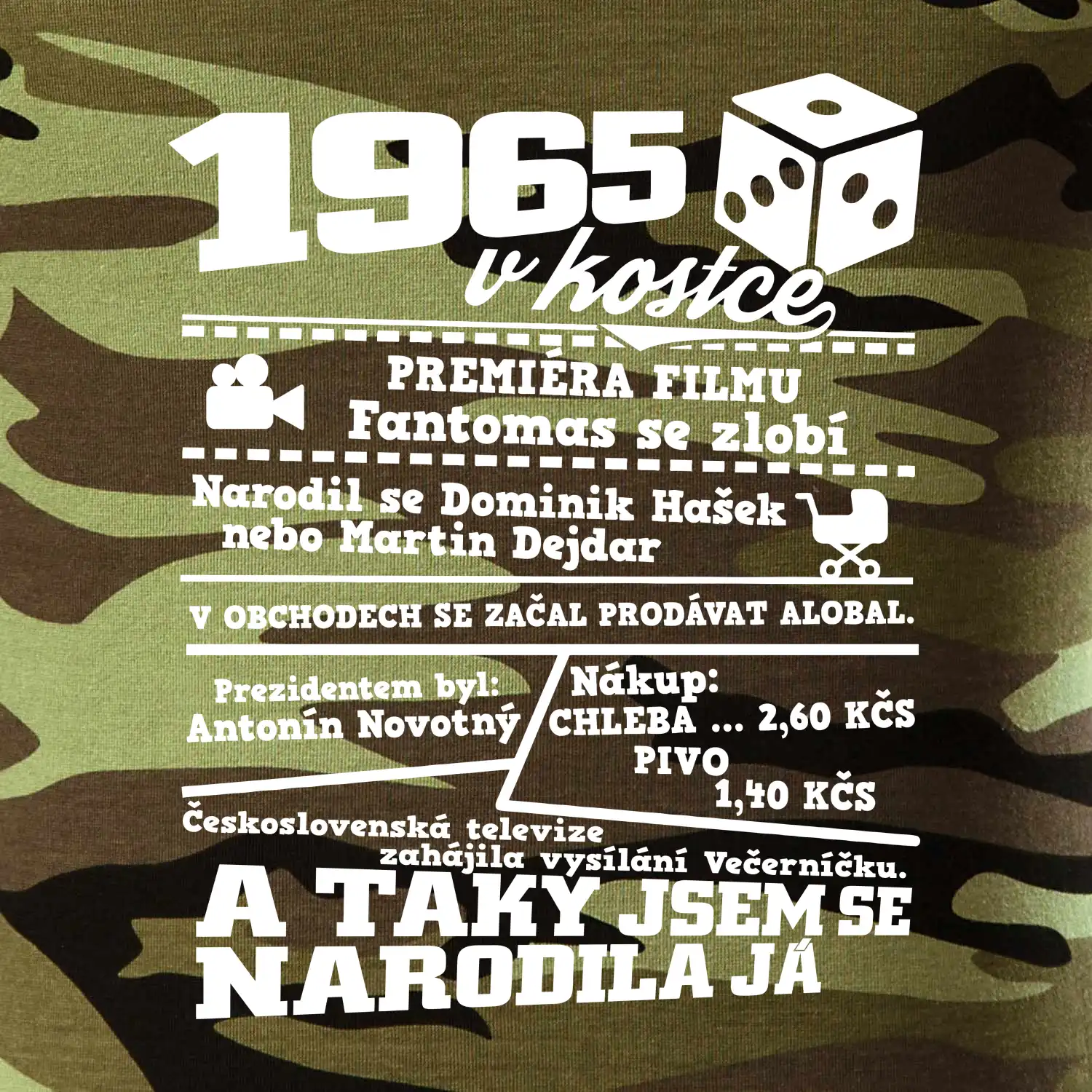 1965 v kostce
