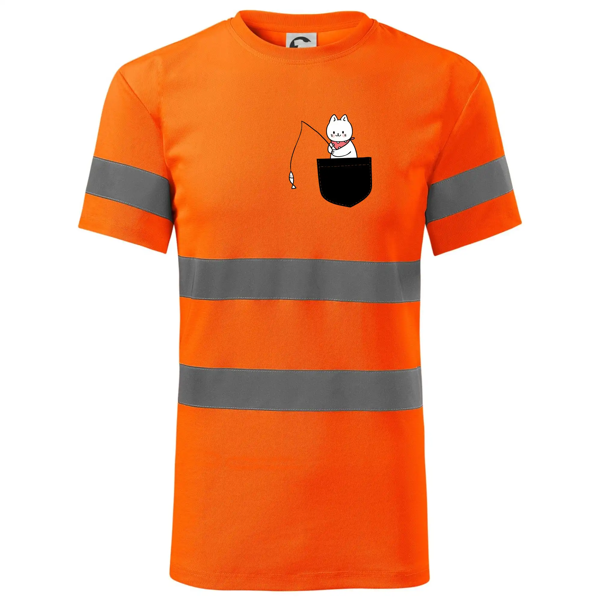 Kočka s rybou v kapse