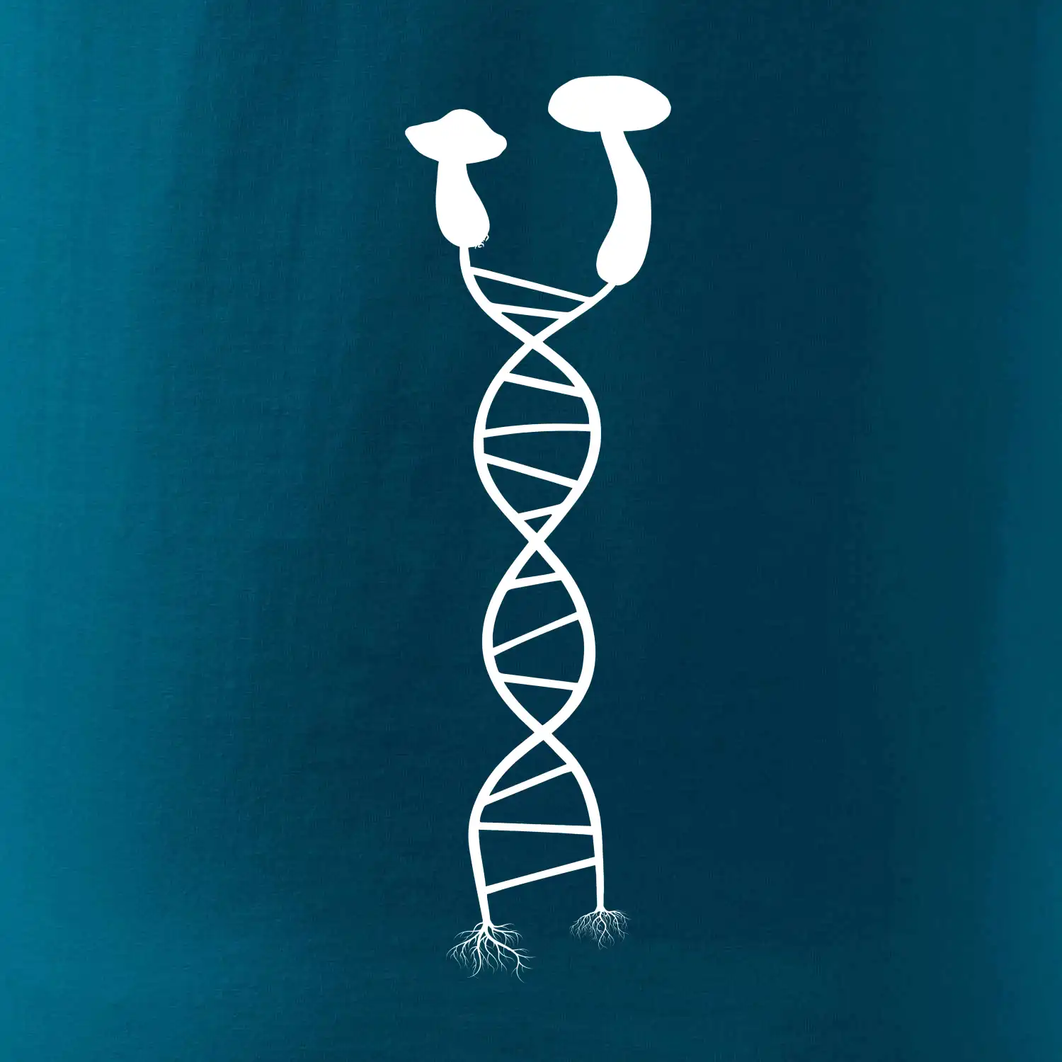 DNA houby