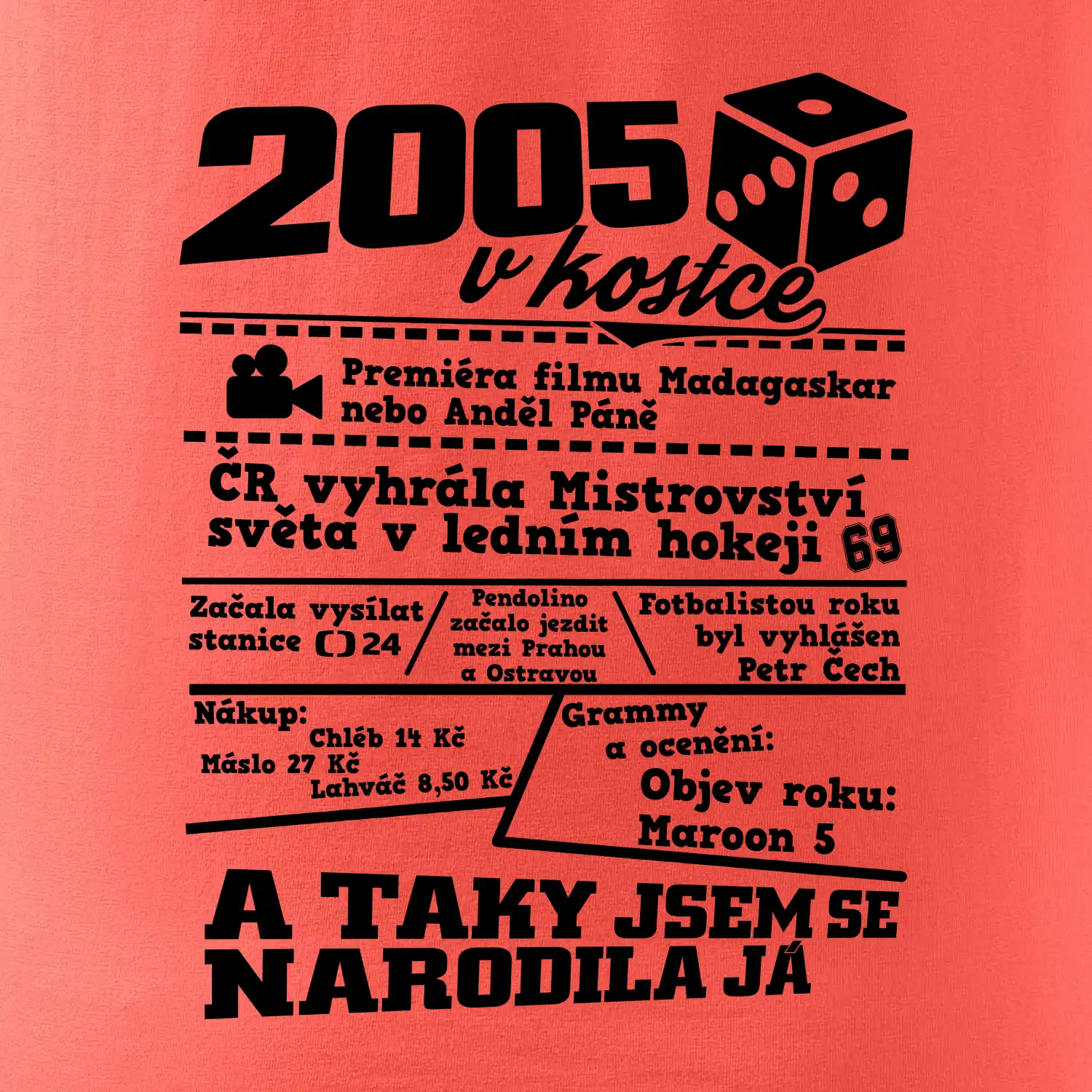 2005 v kostce