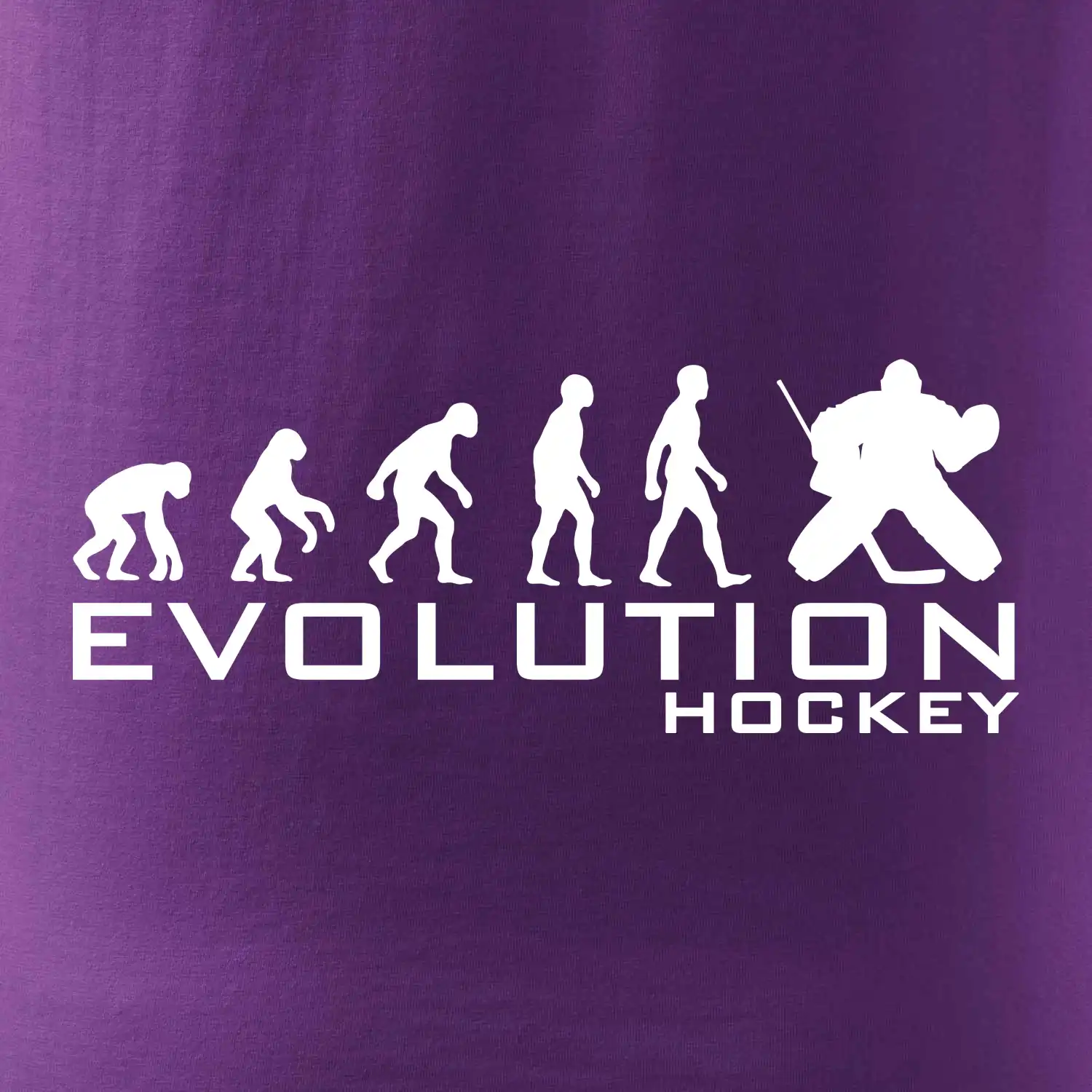 Evoluce Hockey brankář