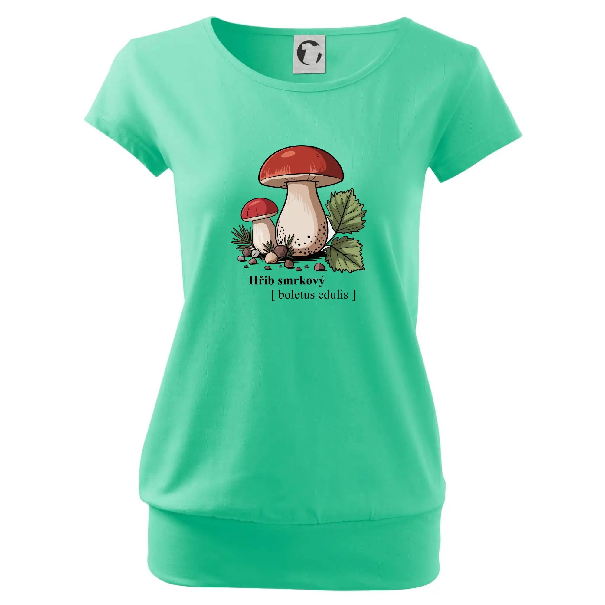 Hřib smrkový - Boletus edulis kreslený