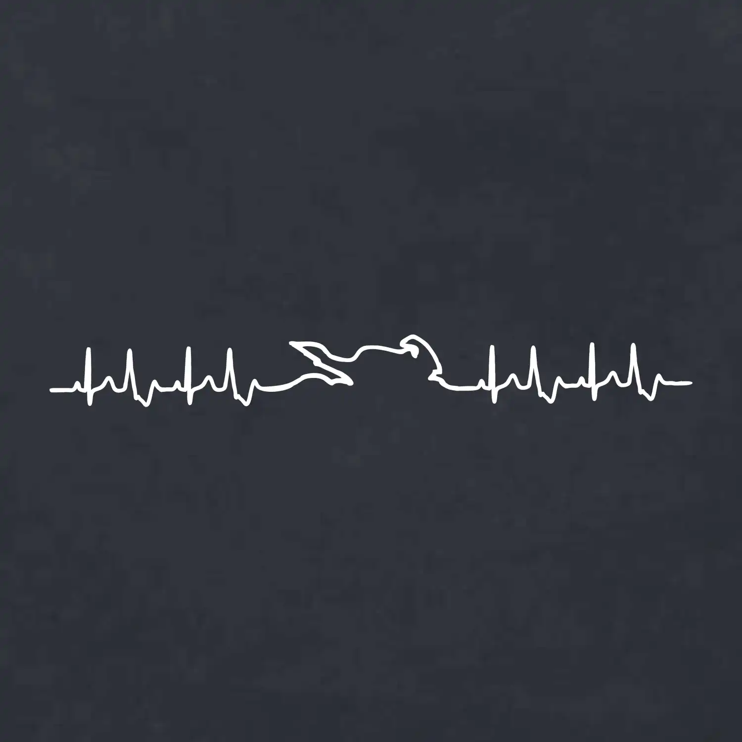 Moto EKG
