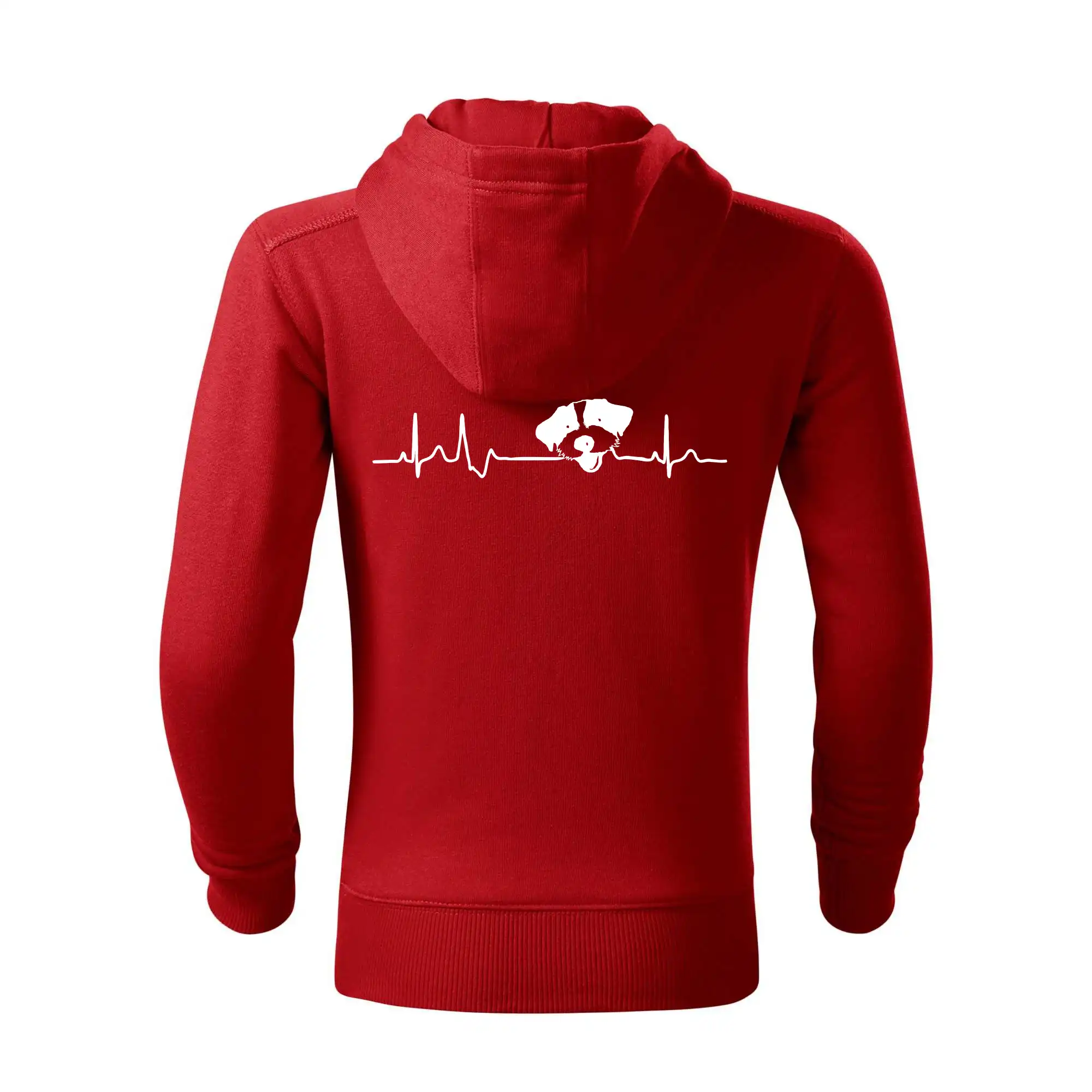 Jack Russell Terriér hrubosrstý Ekg