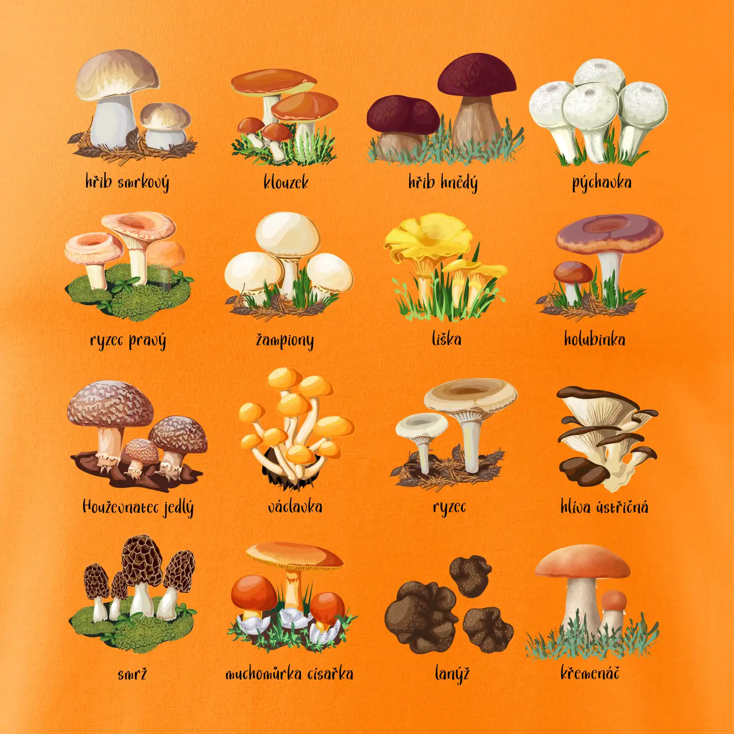 Atlas hub - triko s houbami