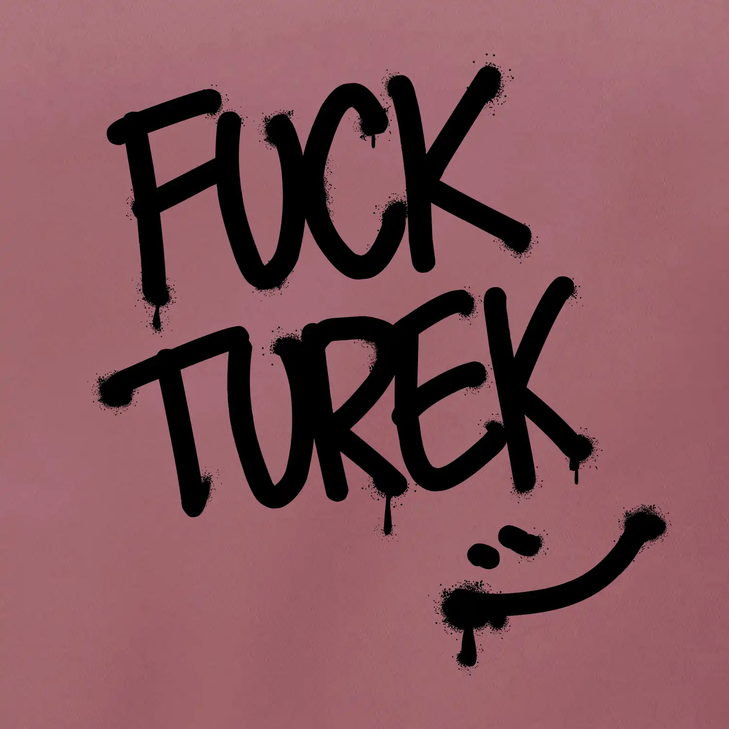 Turek sprejem