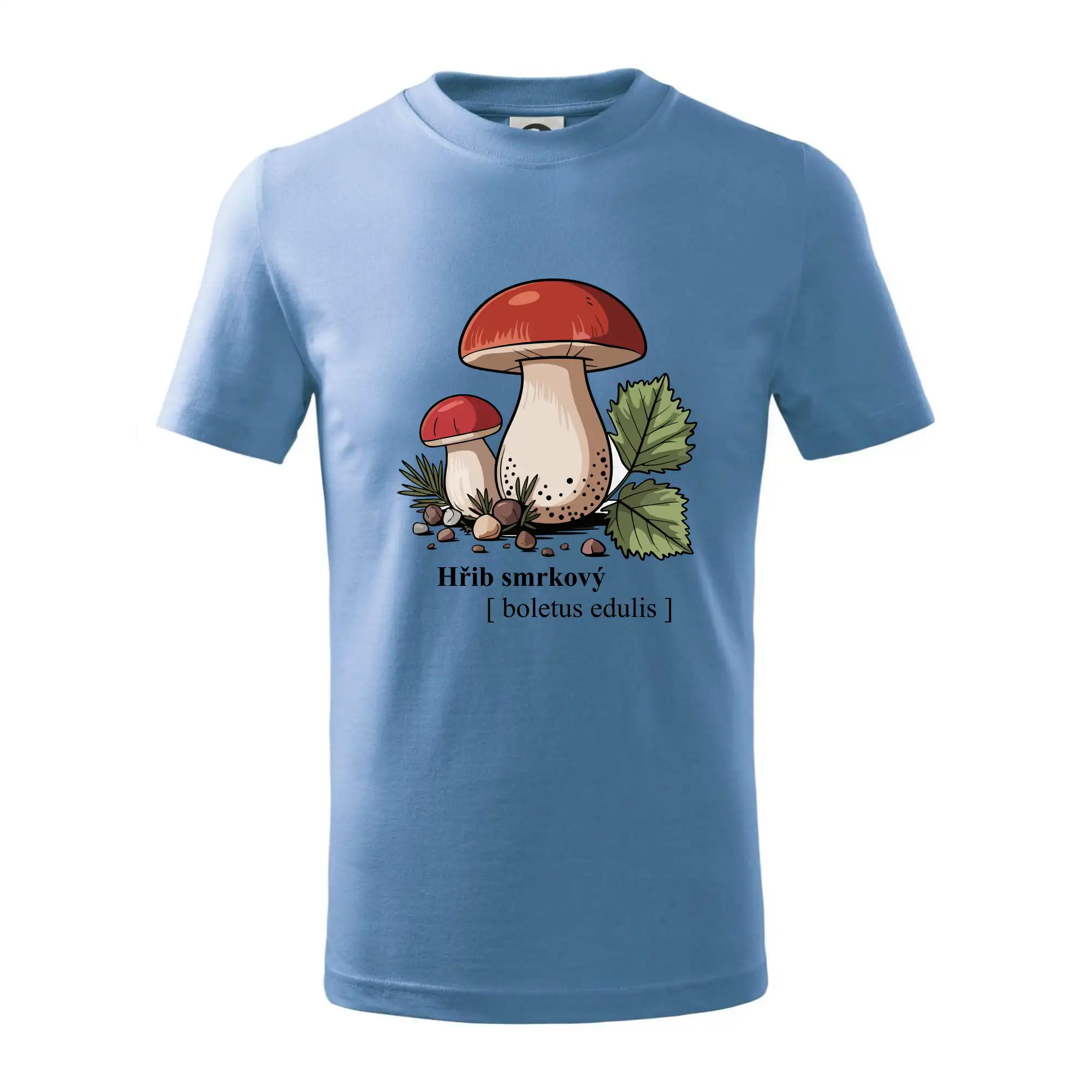 Hřib smrkový - Boletus edulis kreslený