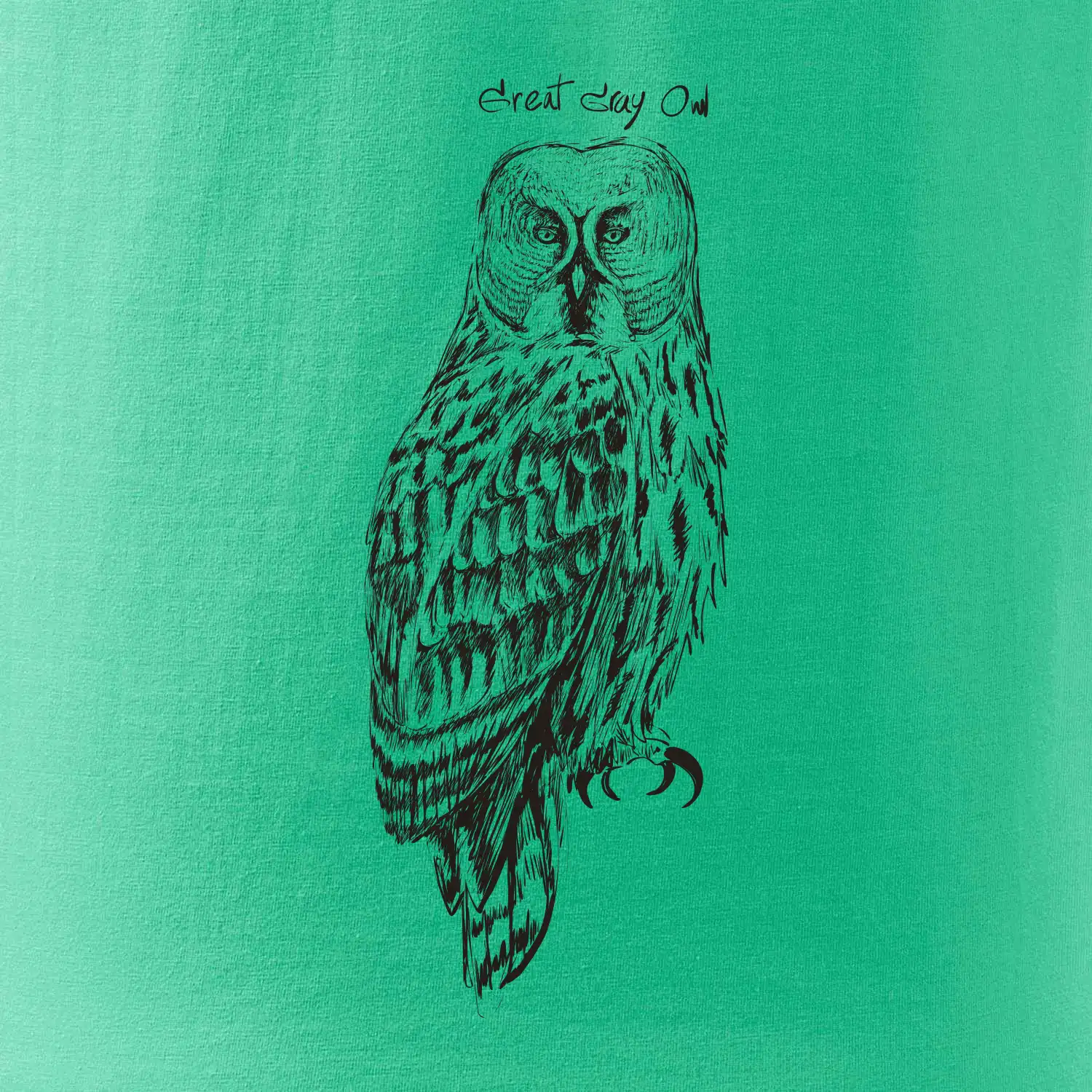 Puštík vousatý great gray owl