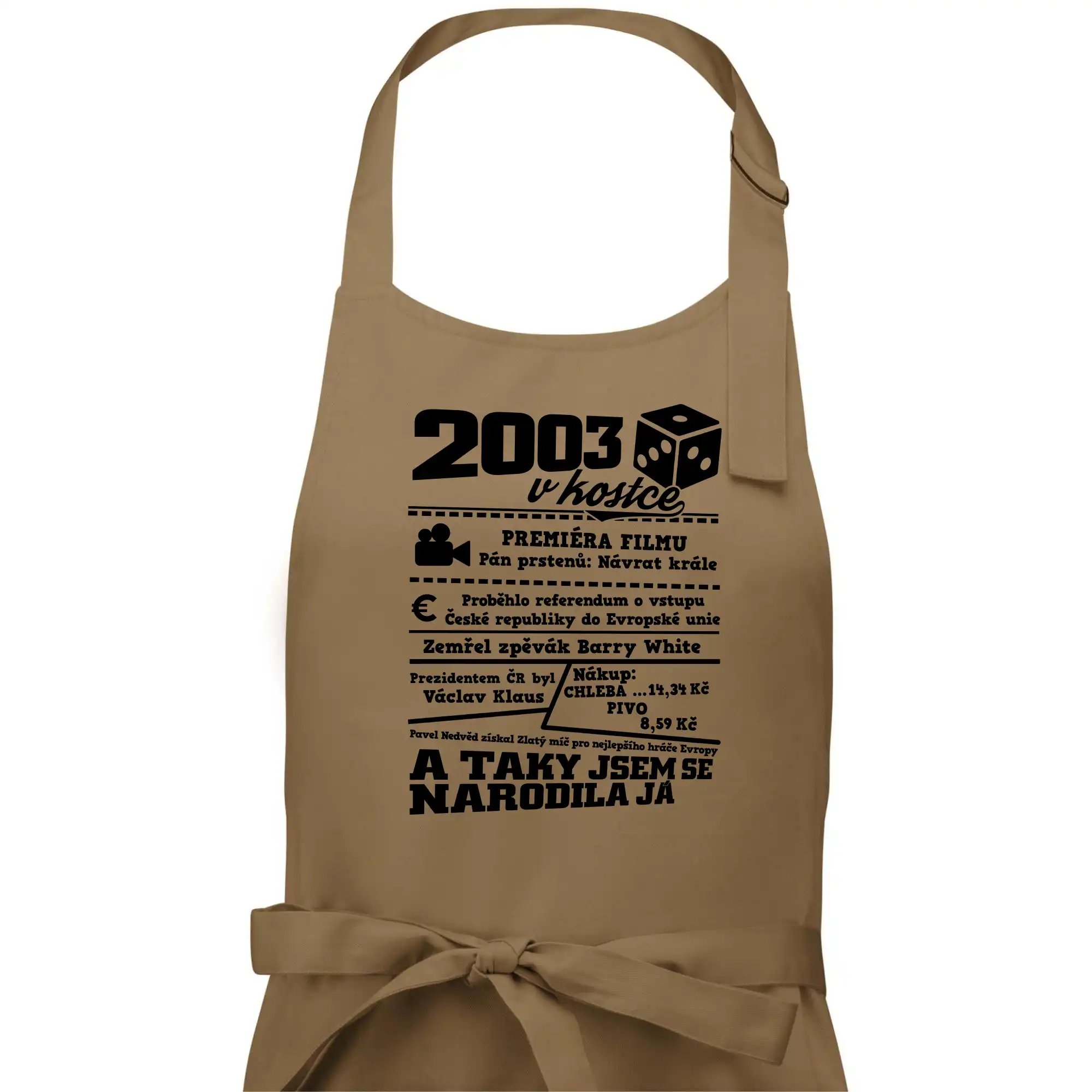 2003 v kostce