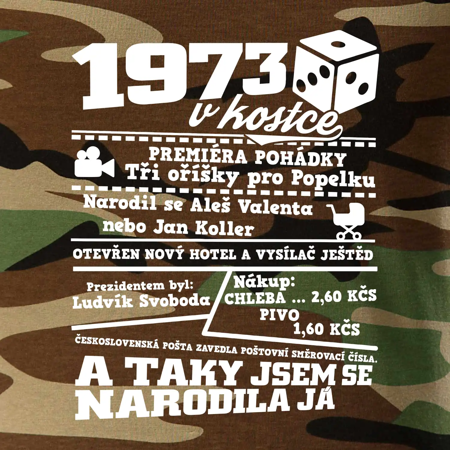 1973 v kostce