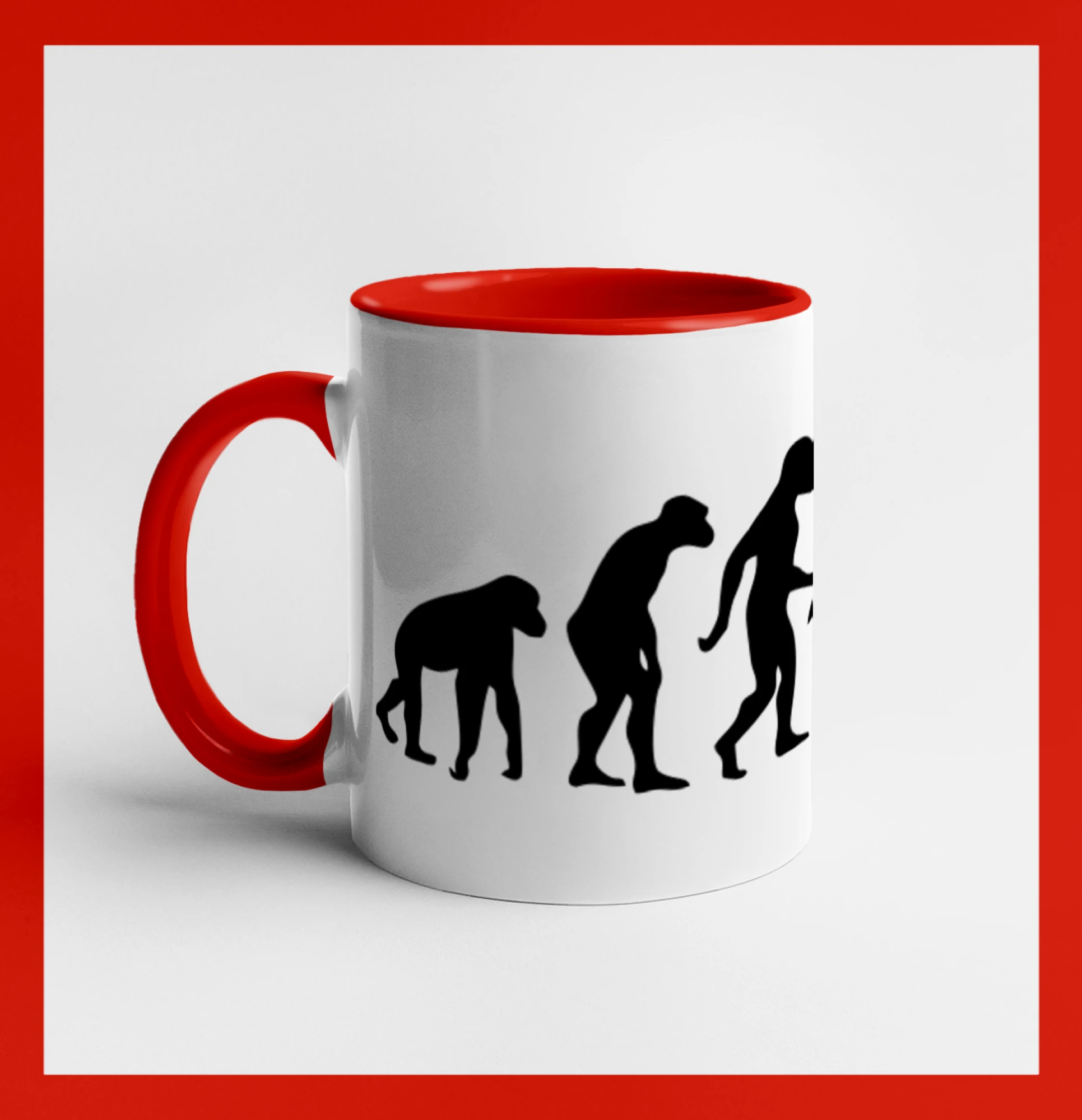 Evolution fitness